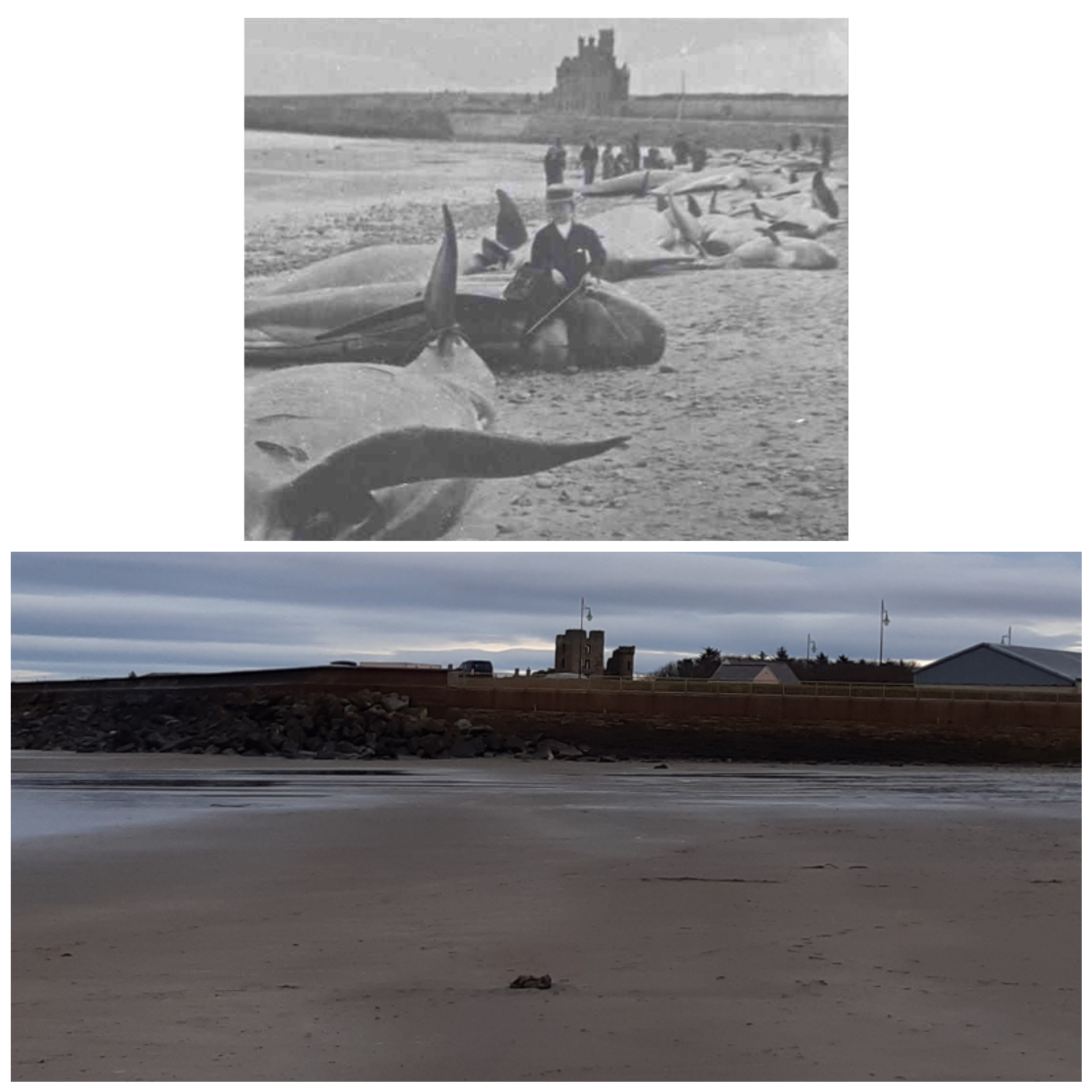 Circa 1890 and today, Thurso beach, the far north of Scotland | Scrolller