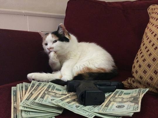 Clean money