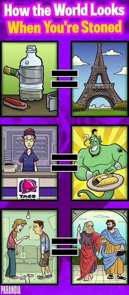 Collage humour at it again | Scrolller