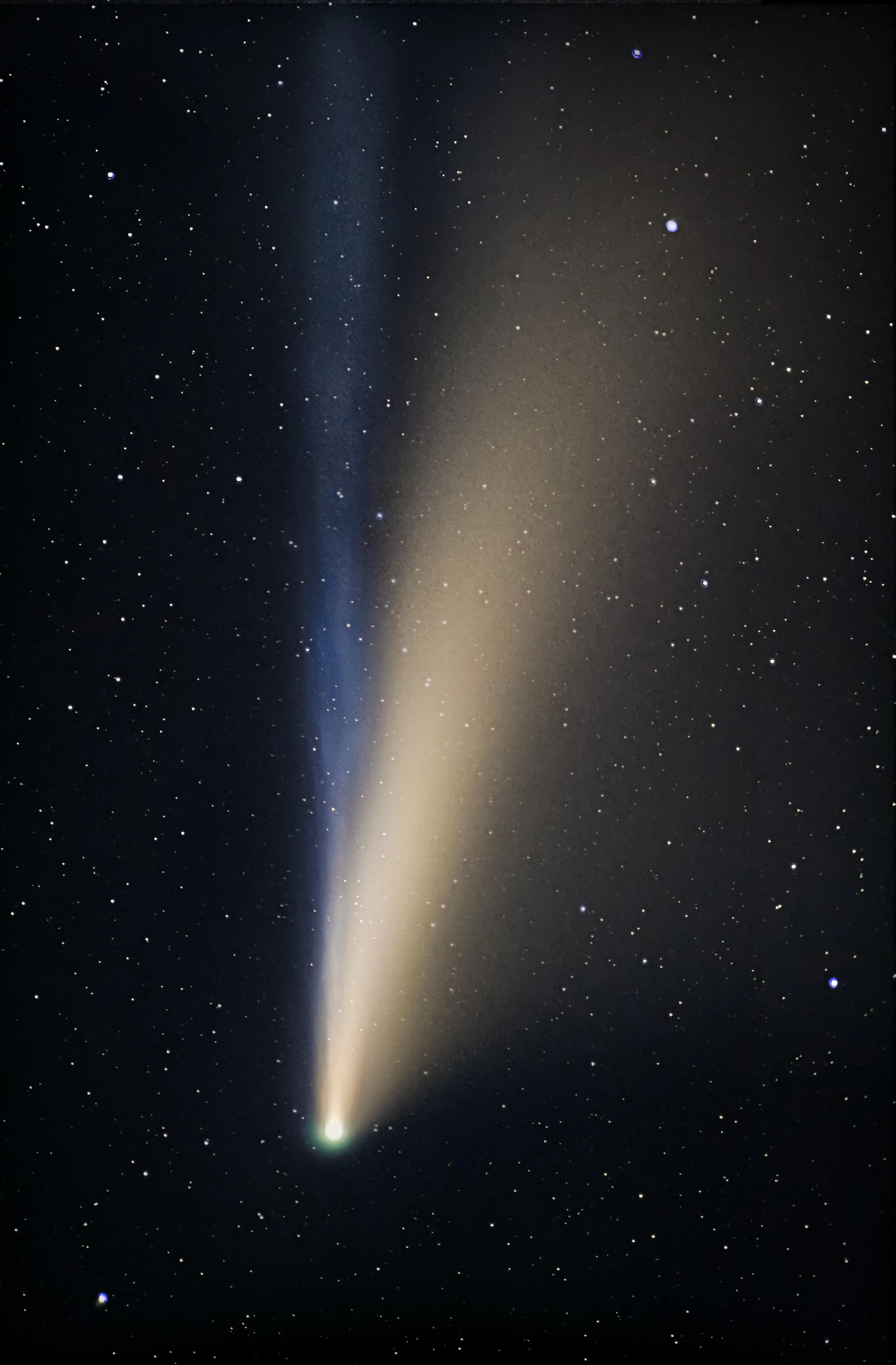 Comet Neowise [3959 x 6025]