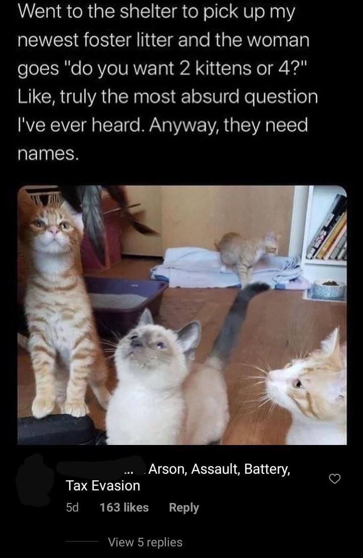 Cursed Names Scrolller