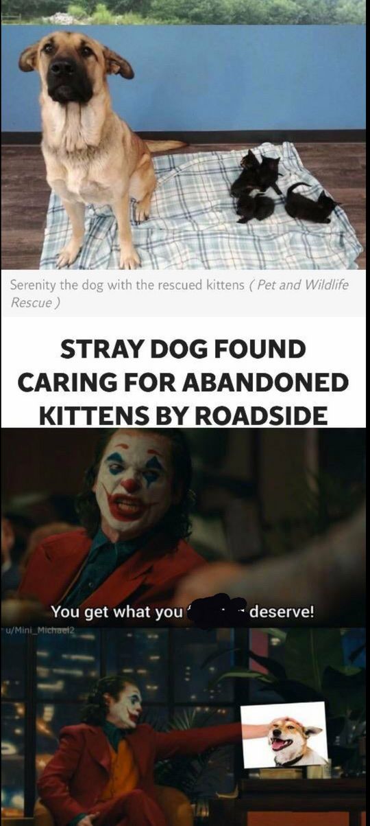 Cleanmemes | Pictures | Scrolller Cleanmemes | Pictures | Scrolller