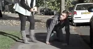 Doggie on a leash