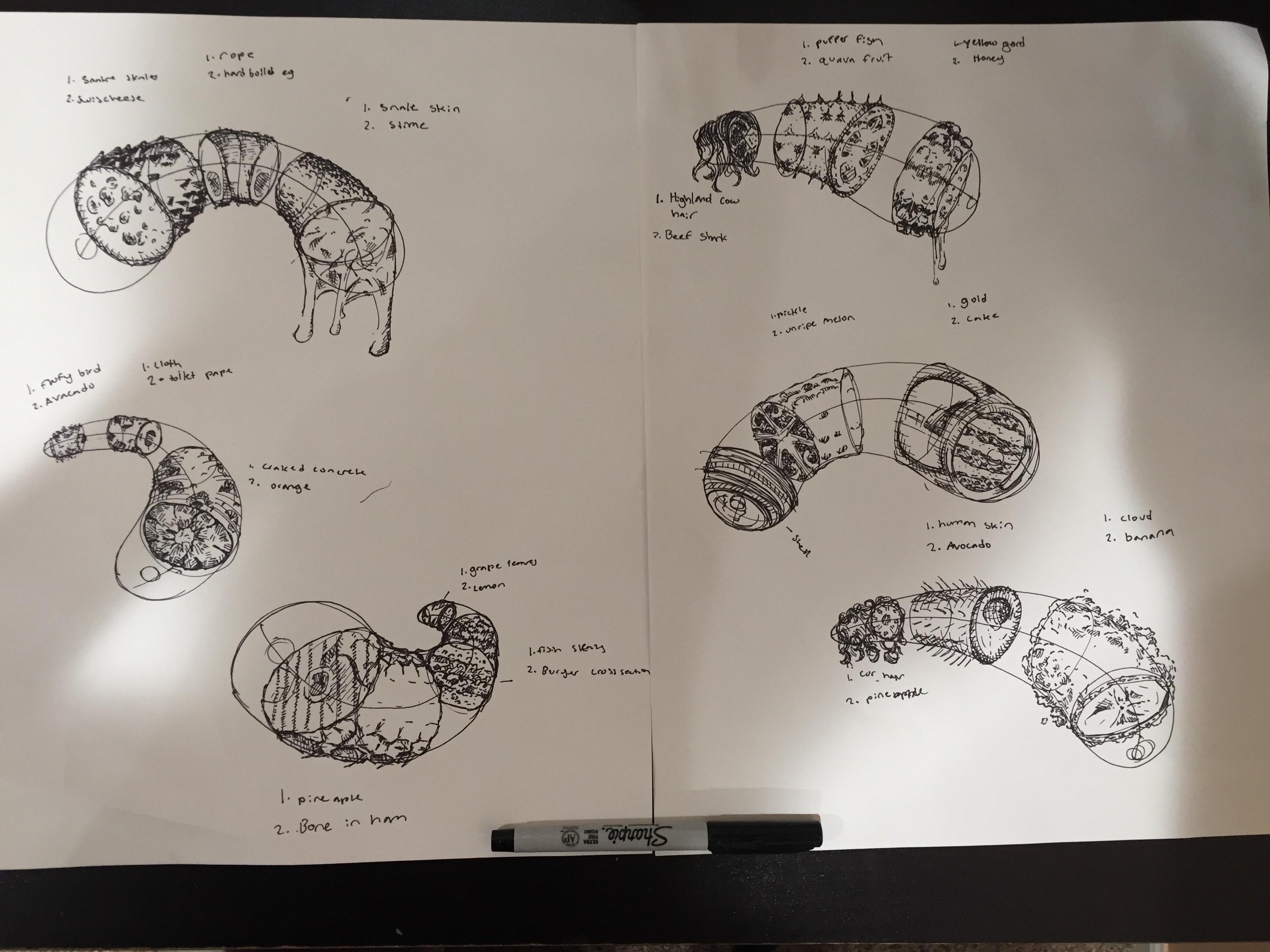 Draw a box Dissection. Critique would be helpfull. | Scrolller