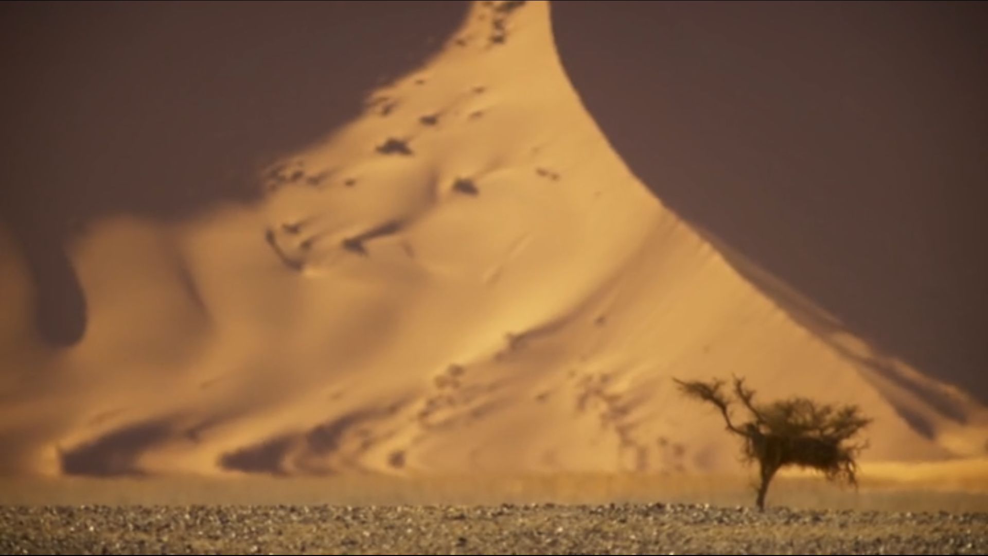 DUNE Scrolller
