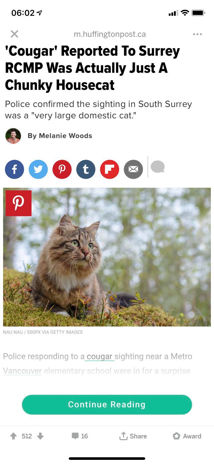 Easy mistake to make Scrolller