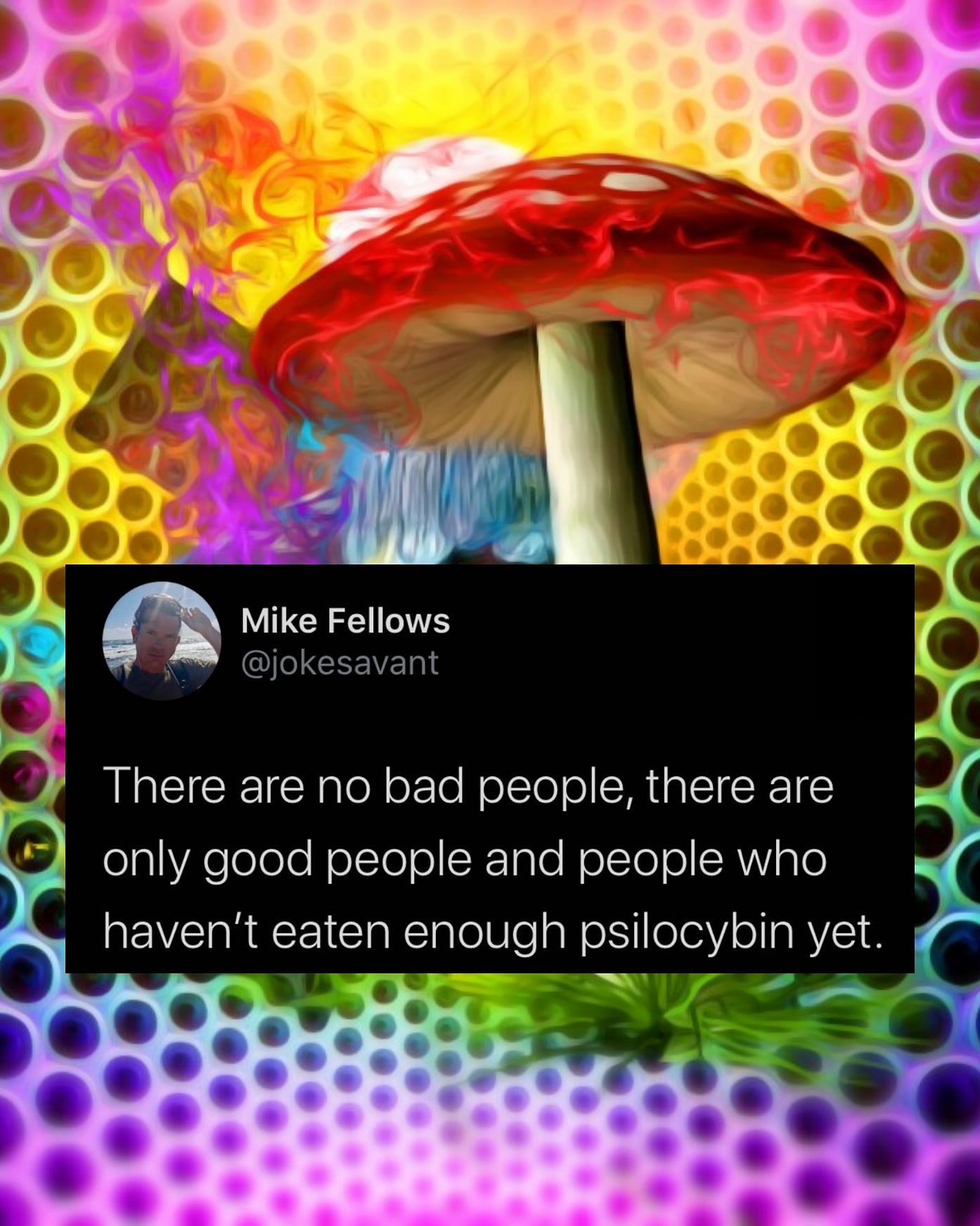 Eating Mushrooms won't make a bad person good, but they can make a good