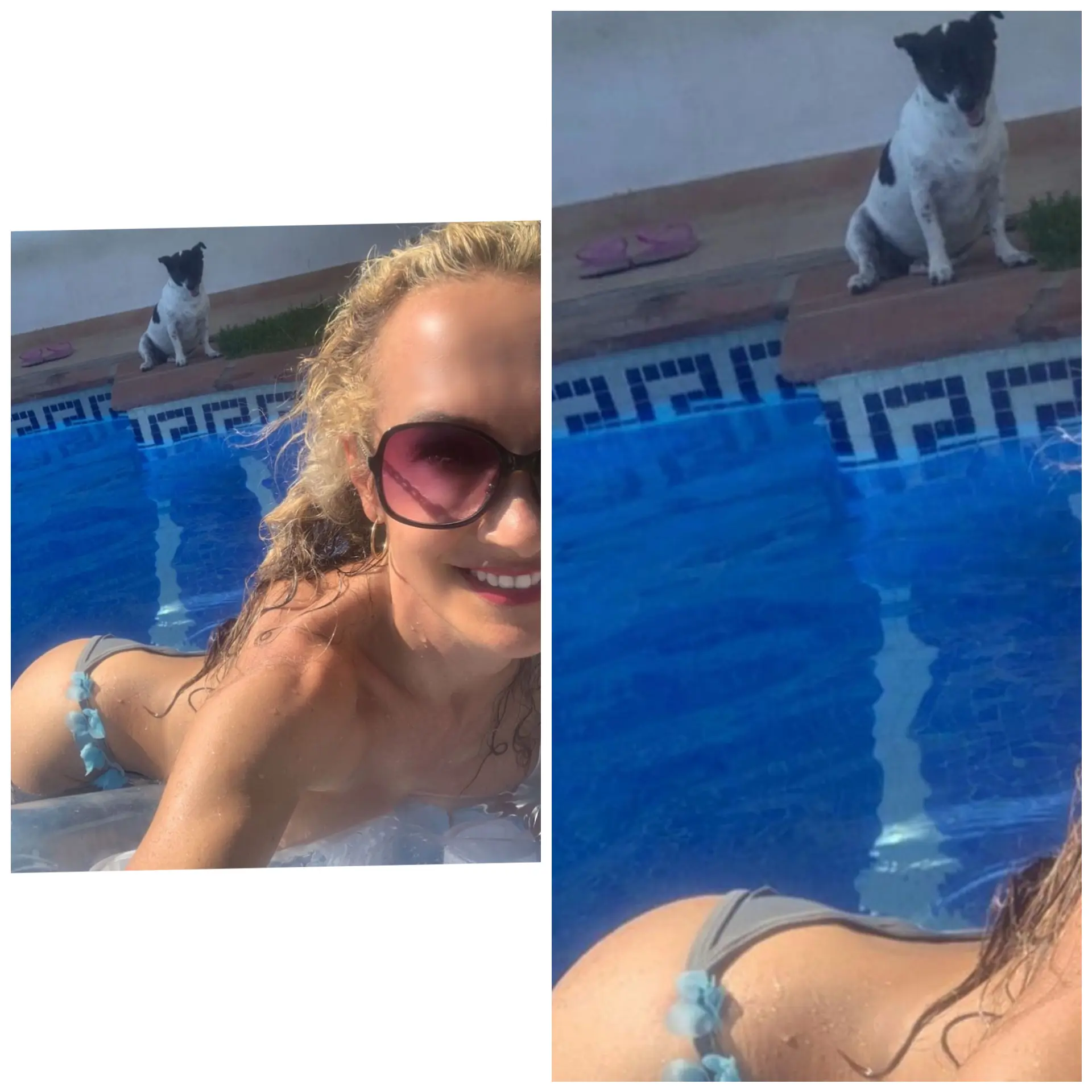 Even my dog can't resist peek my mother's ass