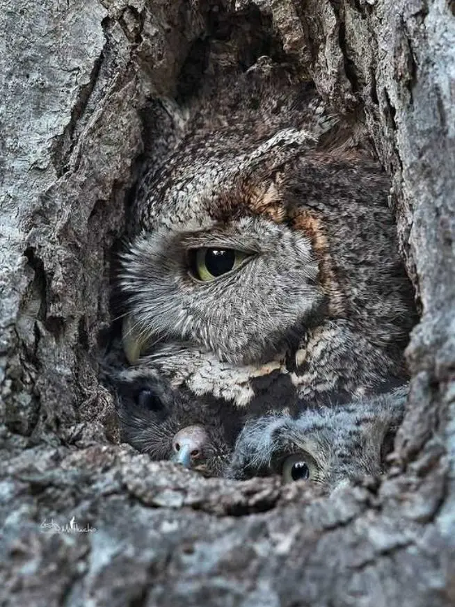 A family moment together