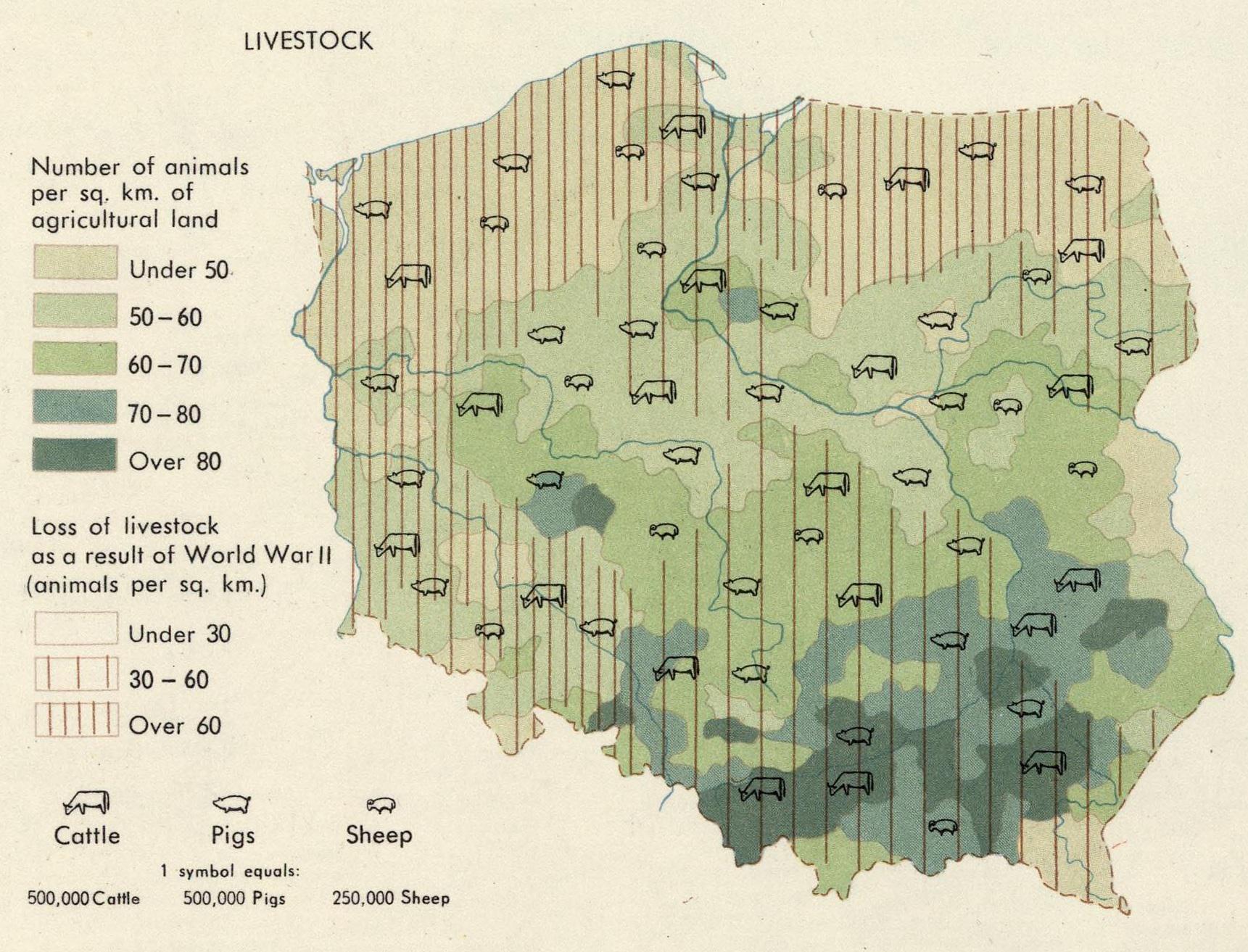 Farm animals in Poland during 1963-1967 and loss of livestock due to ...