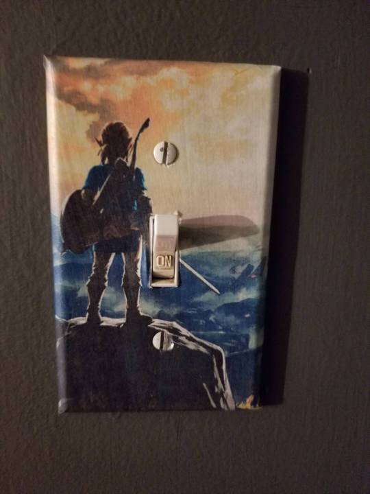 Finally got Breath of the Wild for my switch!