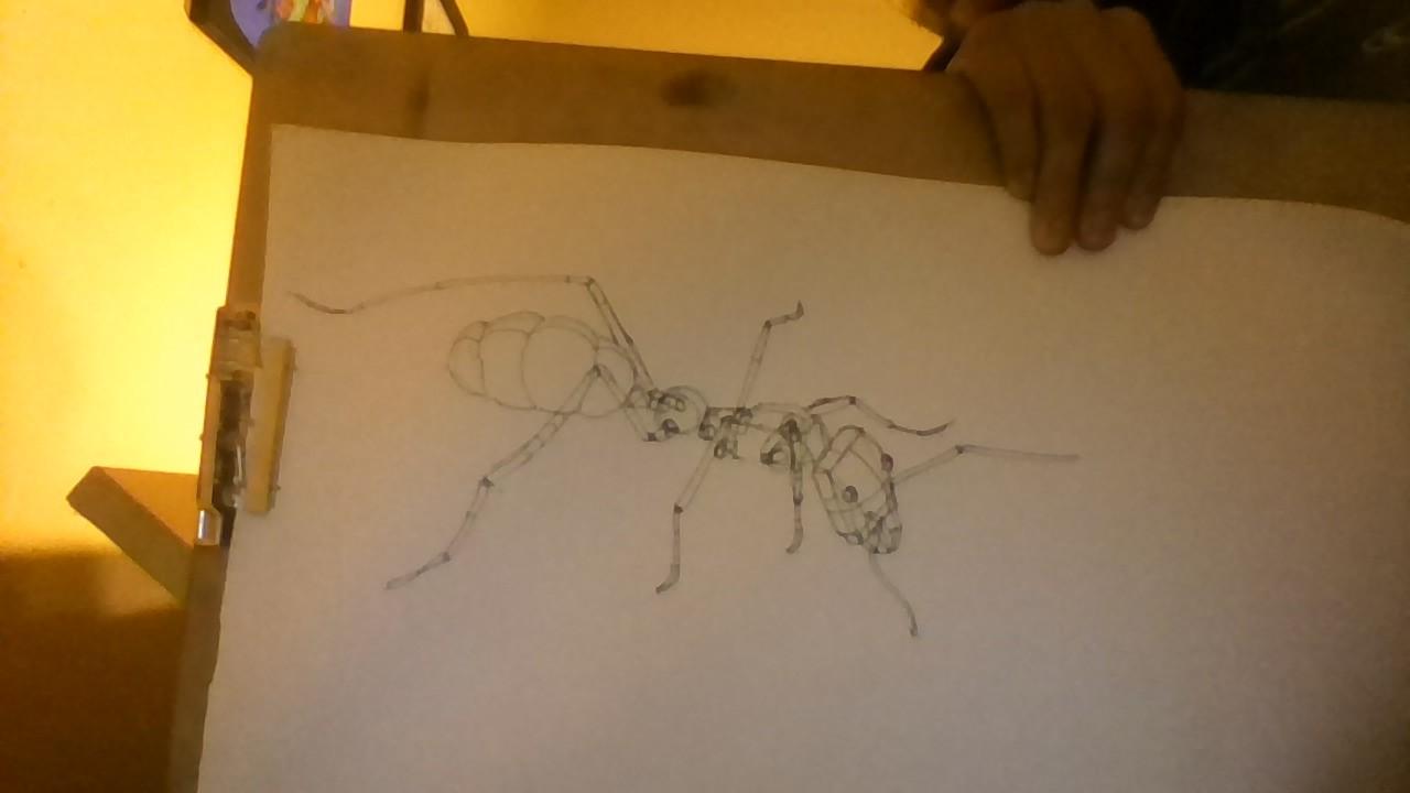 first insect construction, any advice as I continue? | Scrolller