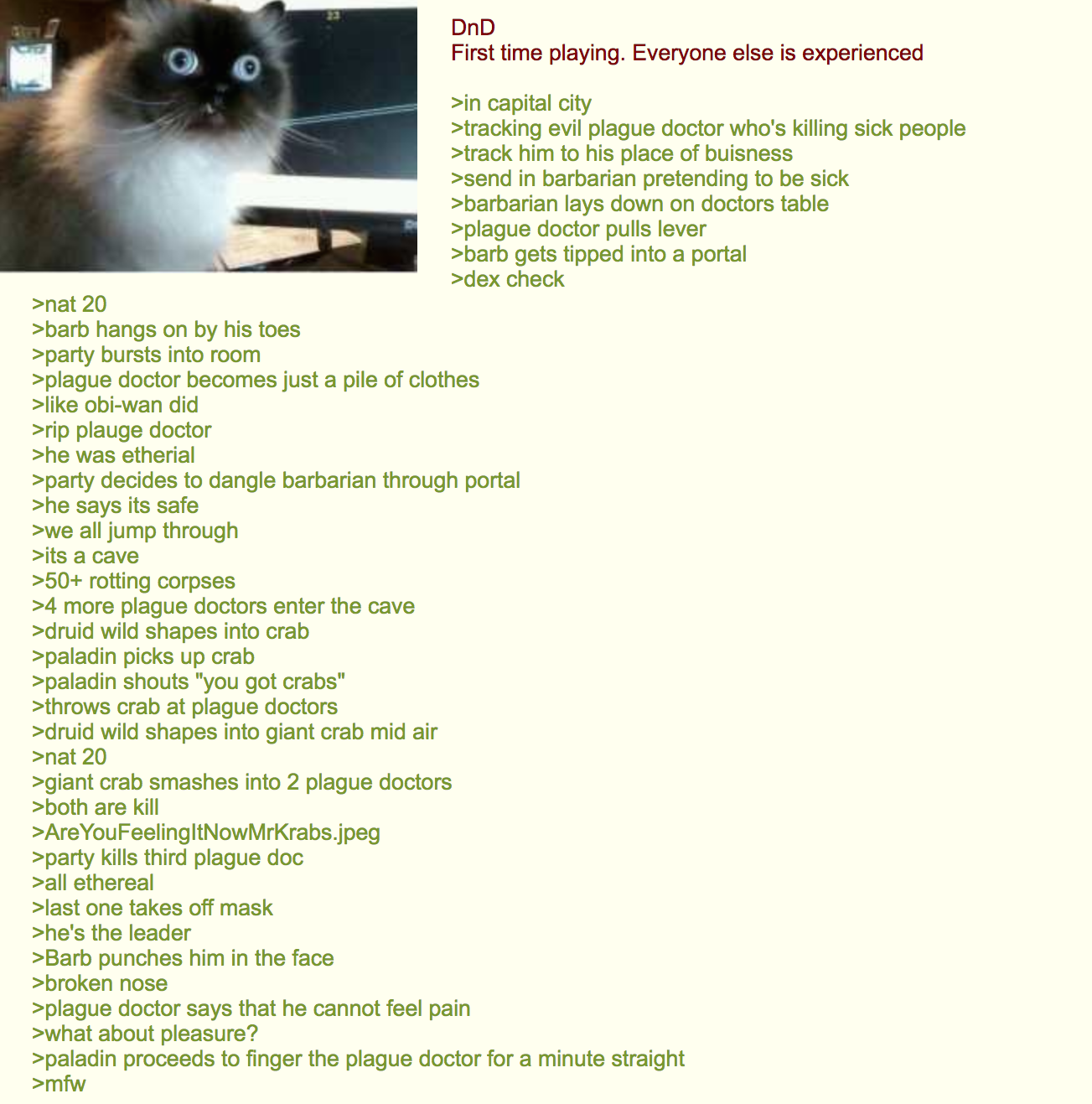 First Time Playing Scrolller