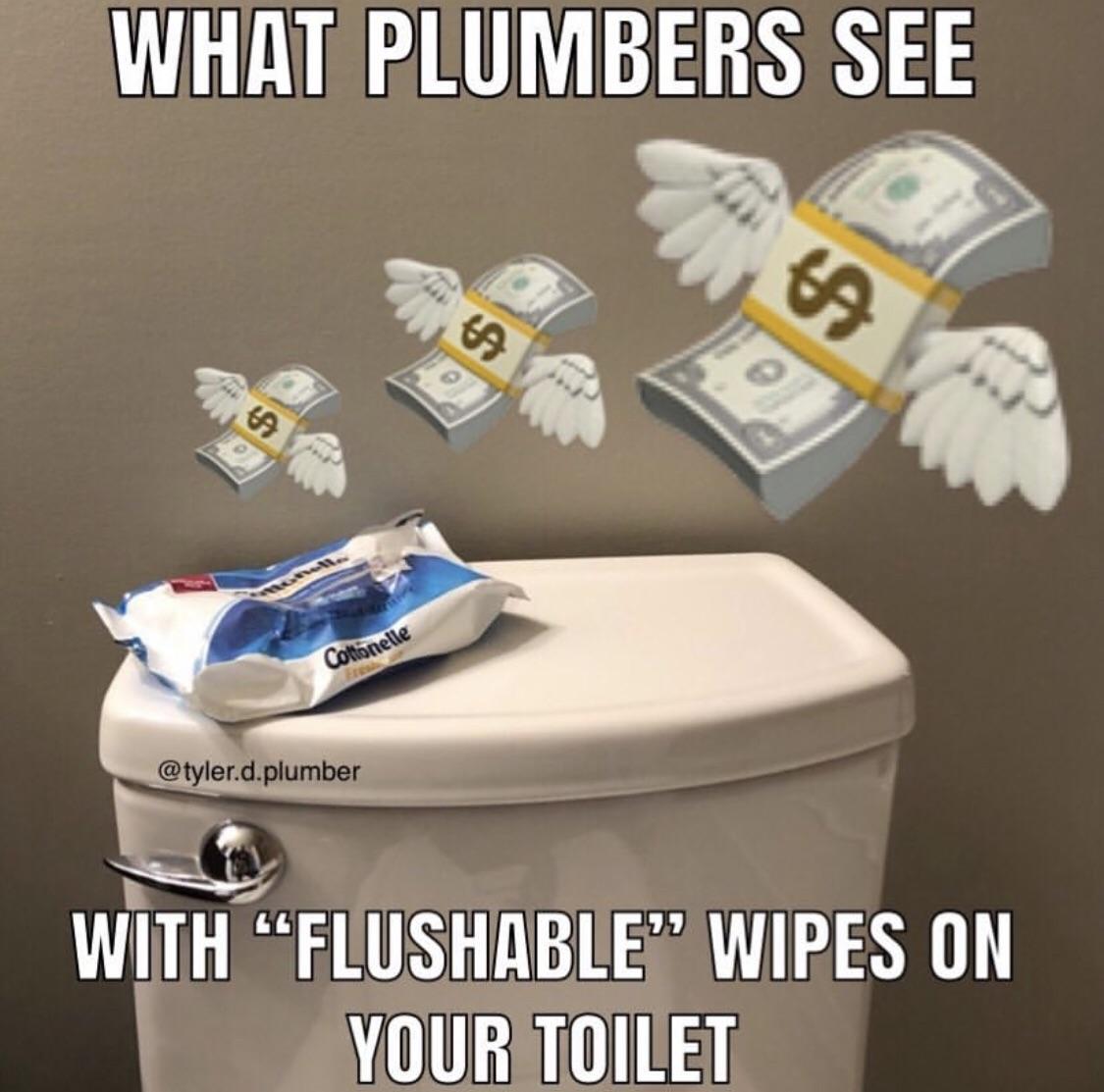 Flushable wipes = flushable Scrolller