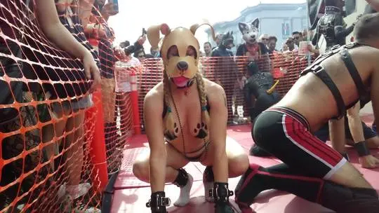 Kato and Pepper in pup play gear and masks at the Folsom Street Fair, including a man in a tiger costume.