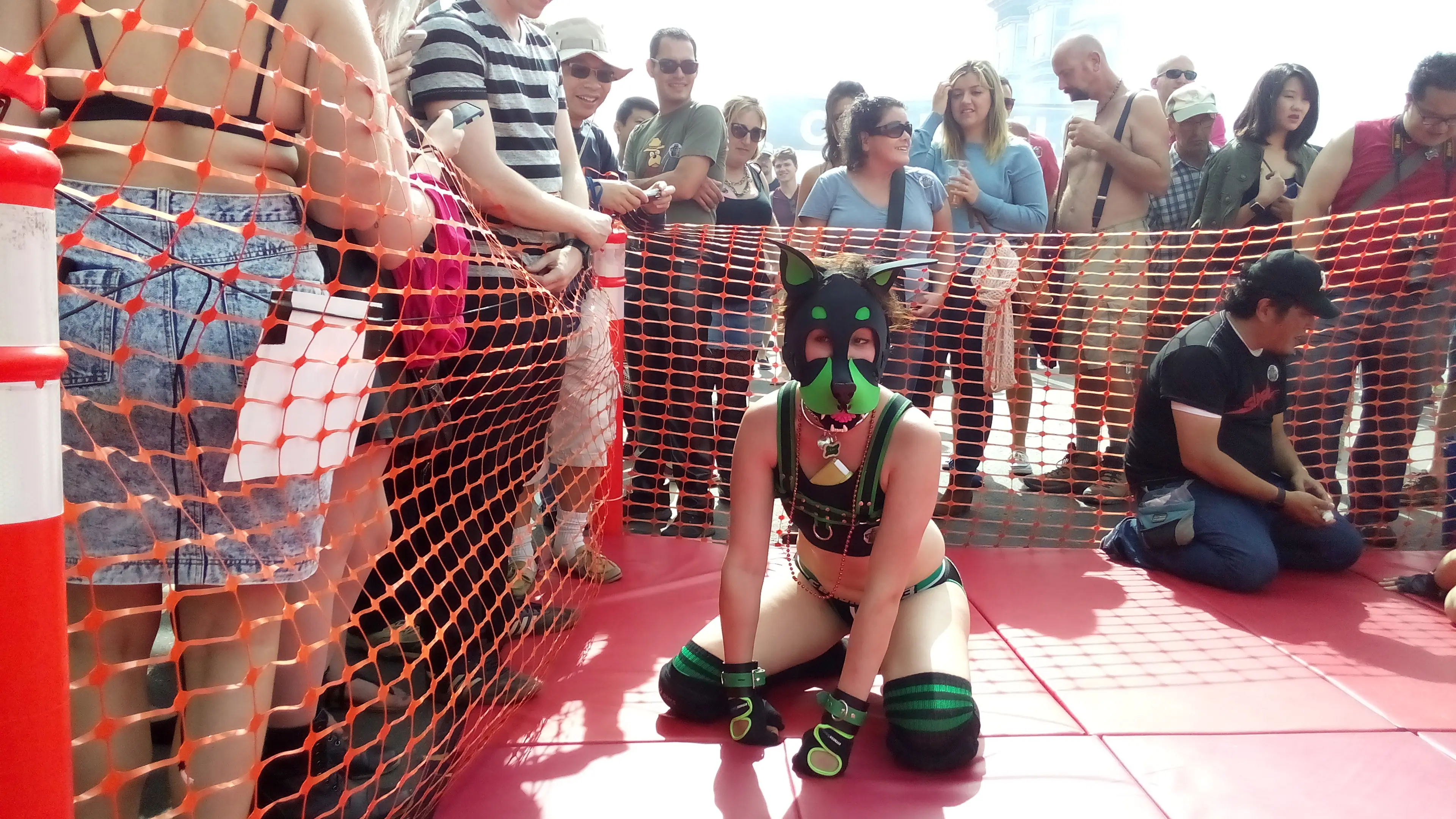 Kato and Pepper in pup play gear and masks at the Folsom Street Fair, including a man in a tiger costume.
