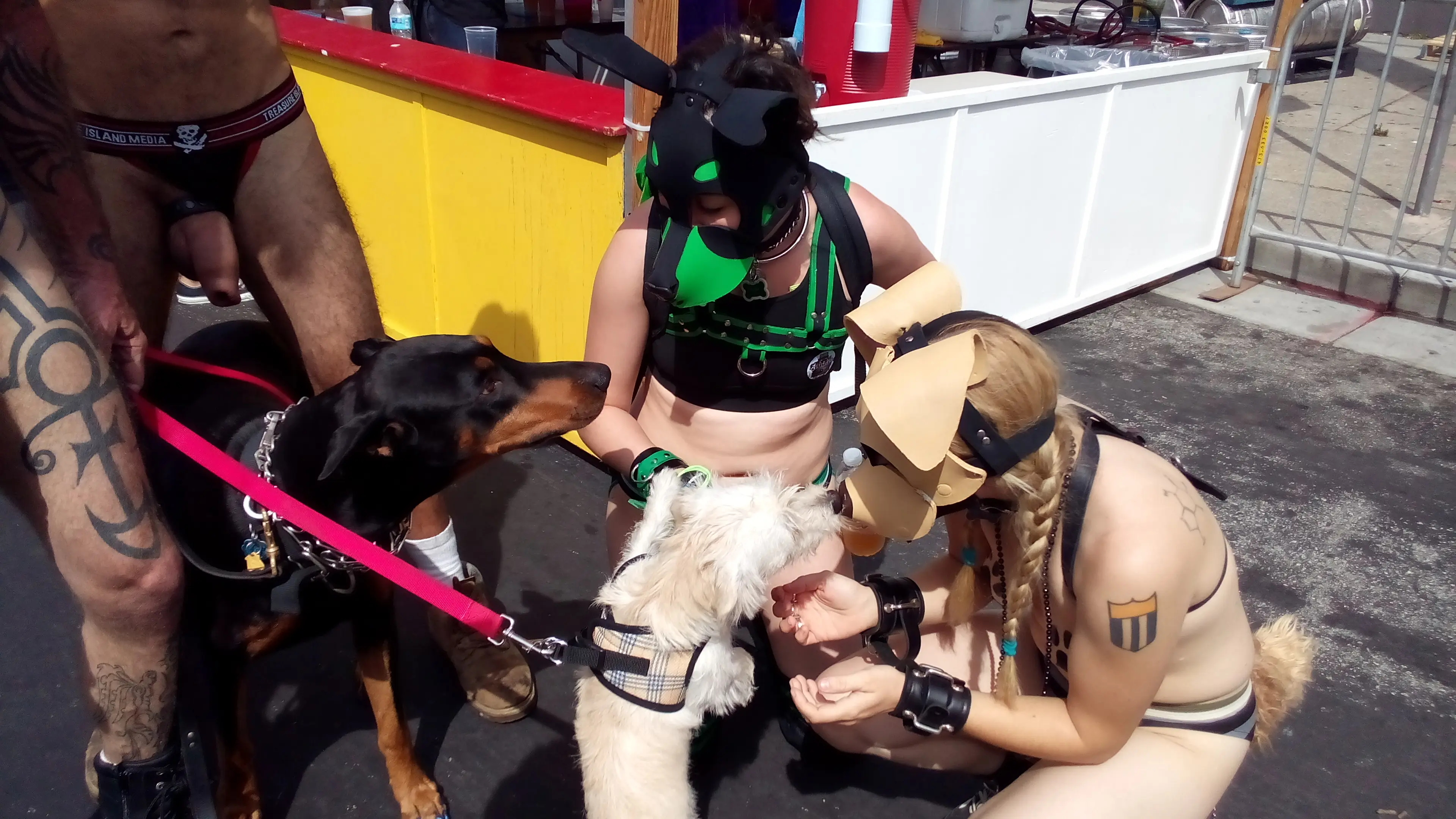 Kato and Pepper in pup play gear and masks at the Folsom Street Fair, including a man in a tiger costume.