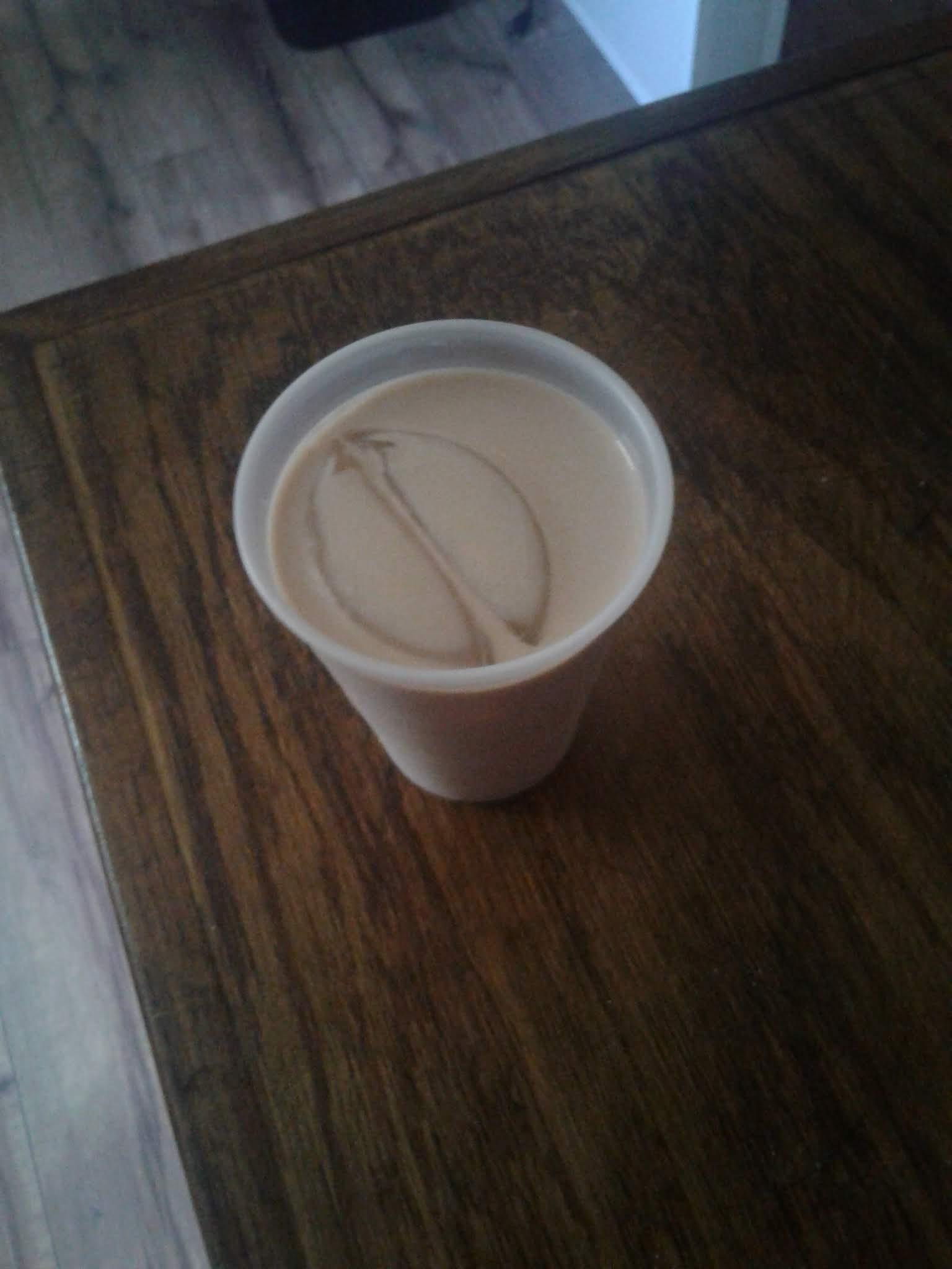 Forbidden Fleshlight | Scrolller