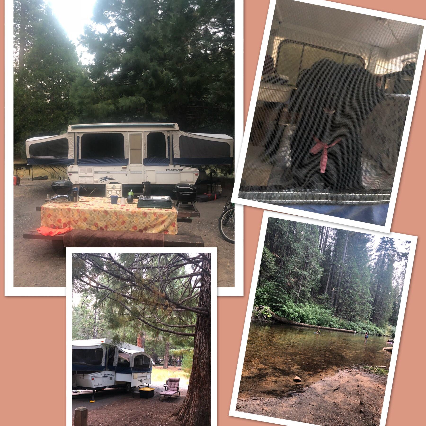 Fraser Flat Campground Scrolller