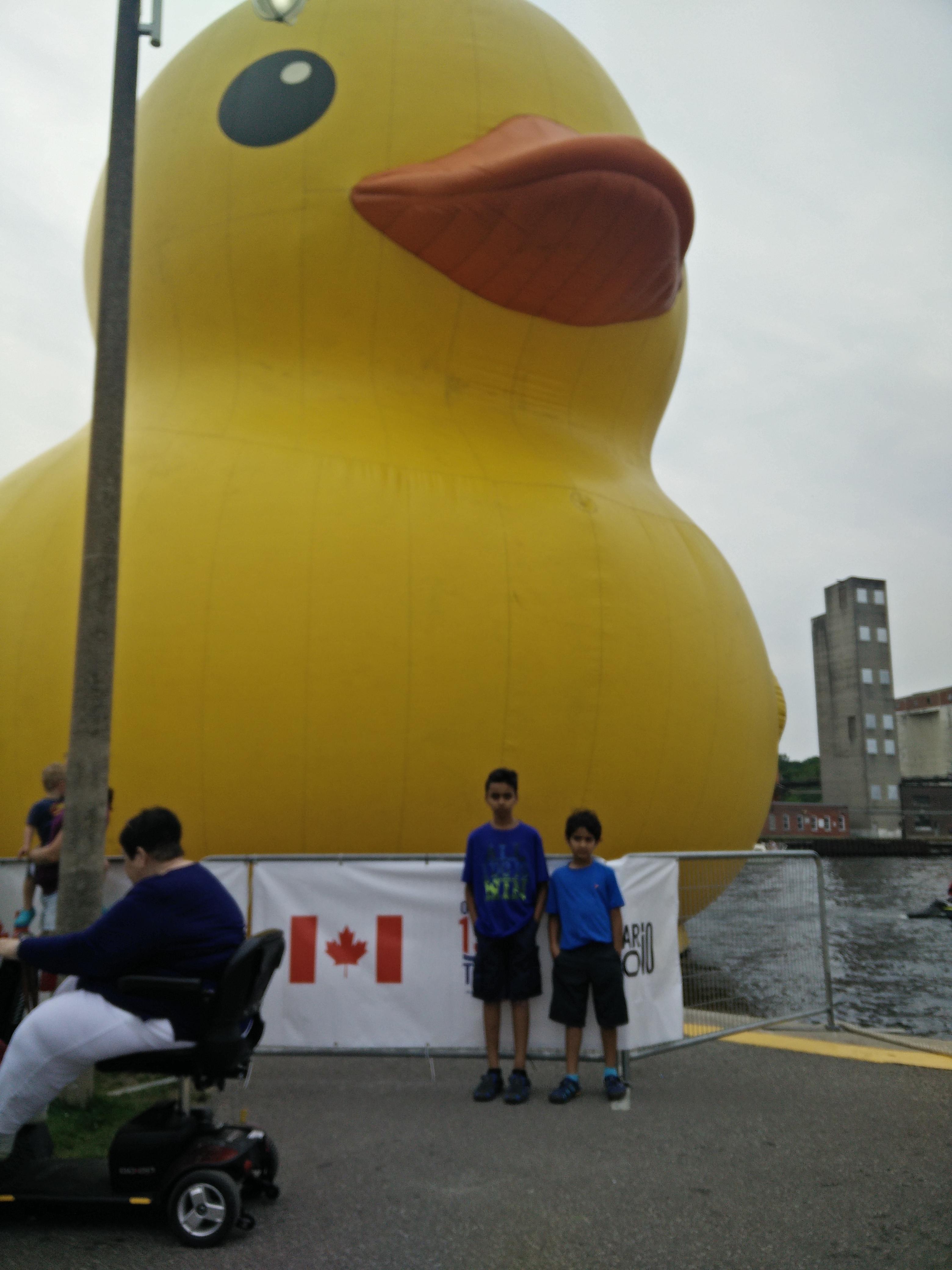 giant-rubber-duck-tour-welcome-to-stupidity-level-10000-scrolller