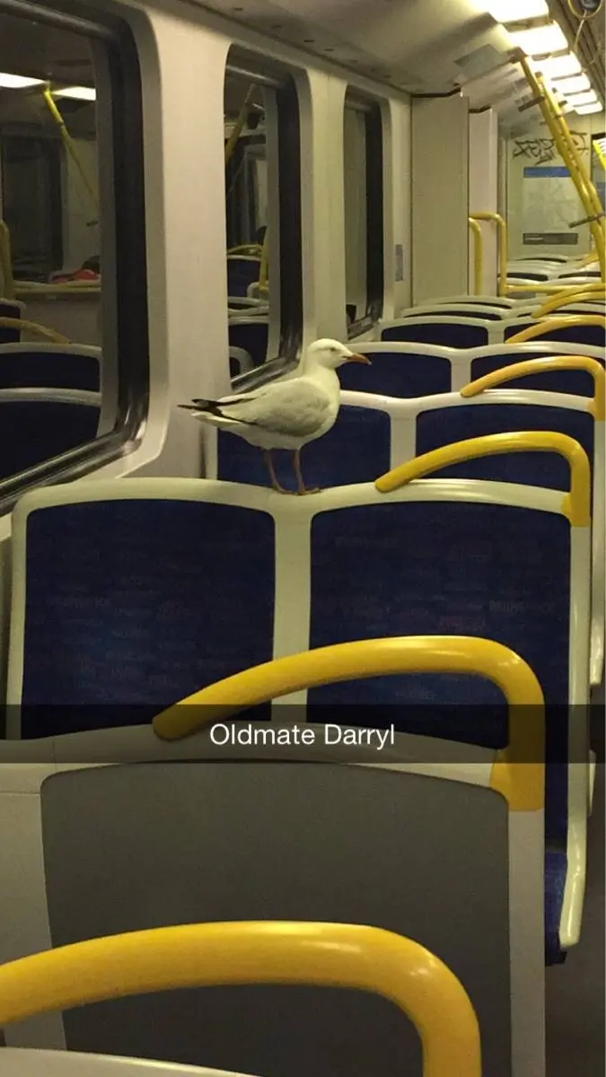 Got a fine for having feet on the seat