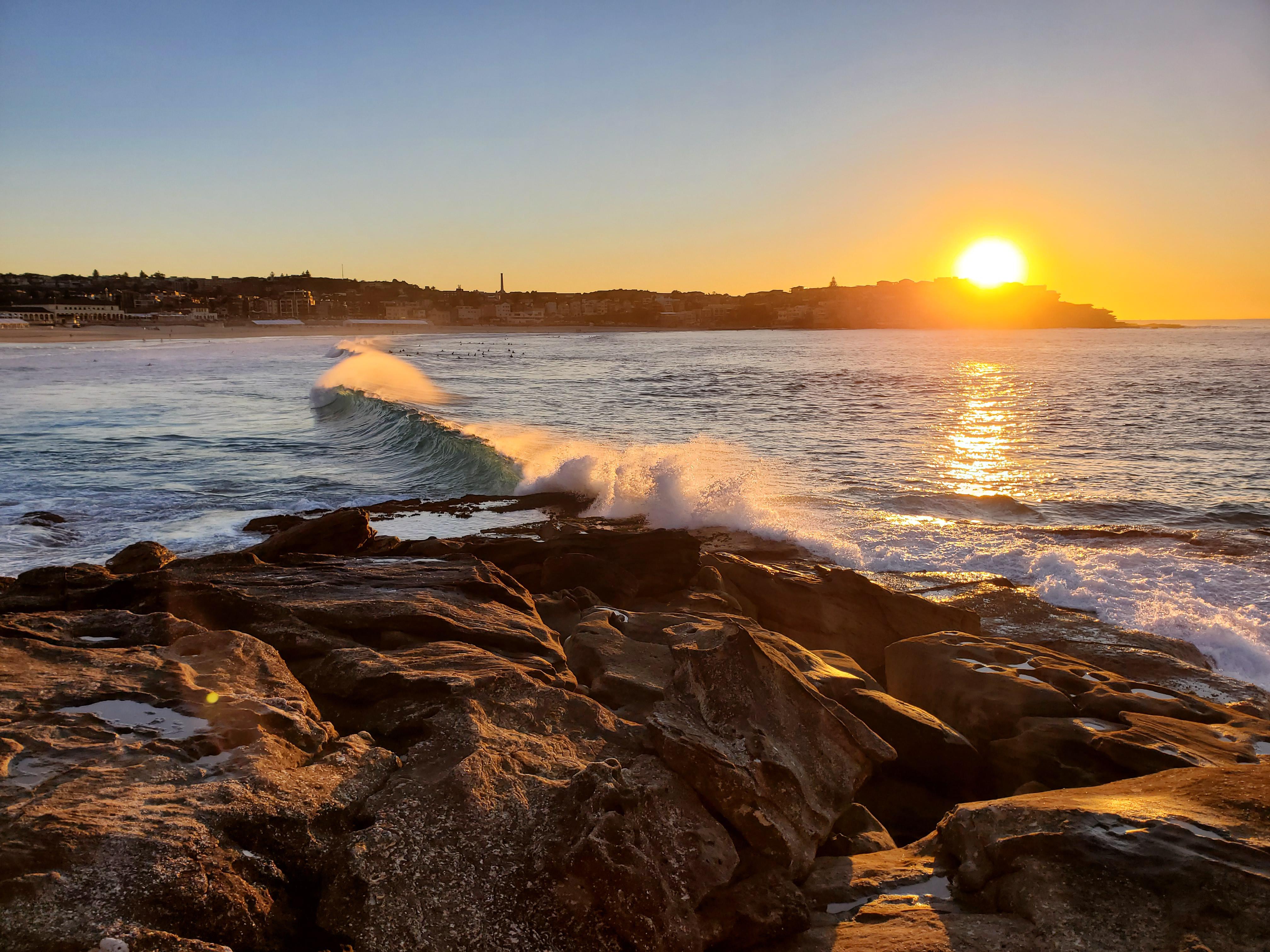 Got up early for sunrise at Bondi beach, Australia | Scrolller