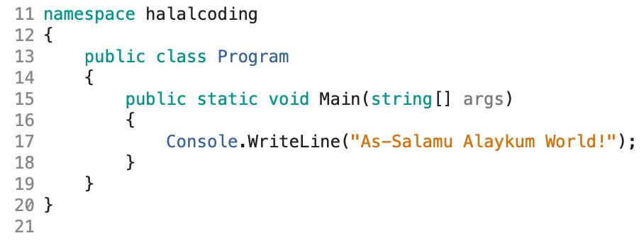 Halal Coding Halal Coding for Beginners | Scrolller