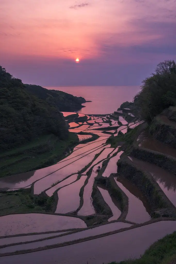 Hamanoura Rice Terraces of Saga, Japan[683 x 1024][OC] | Scrolller
