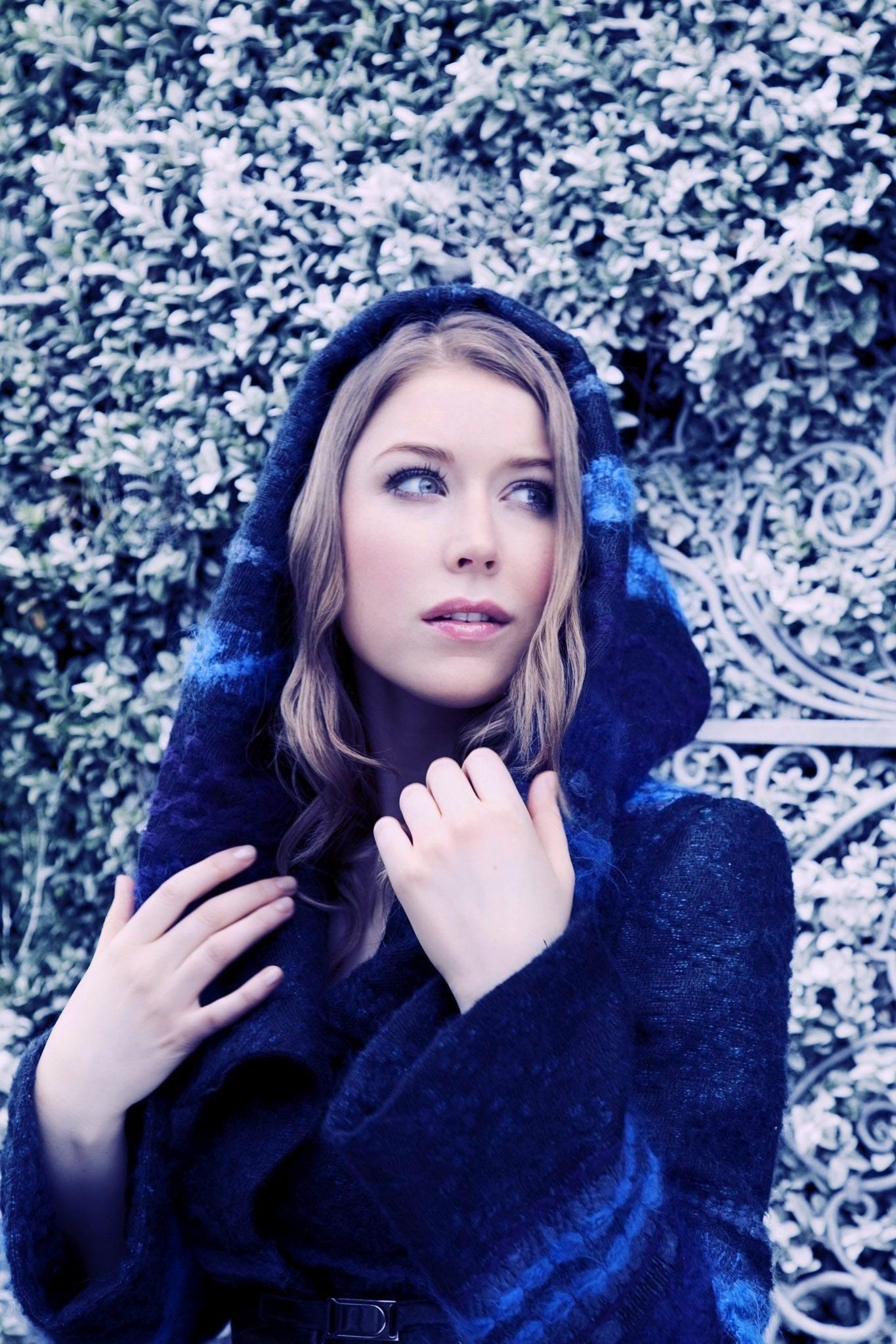 Hayley Westenra | Scrolller