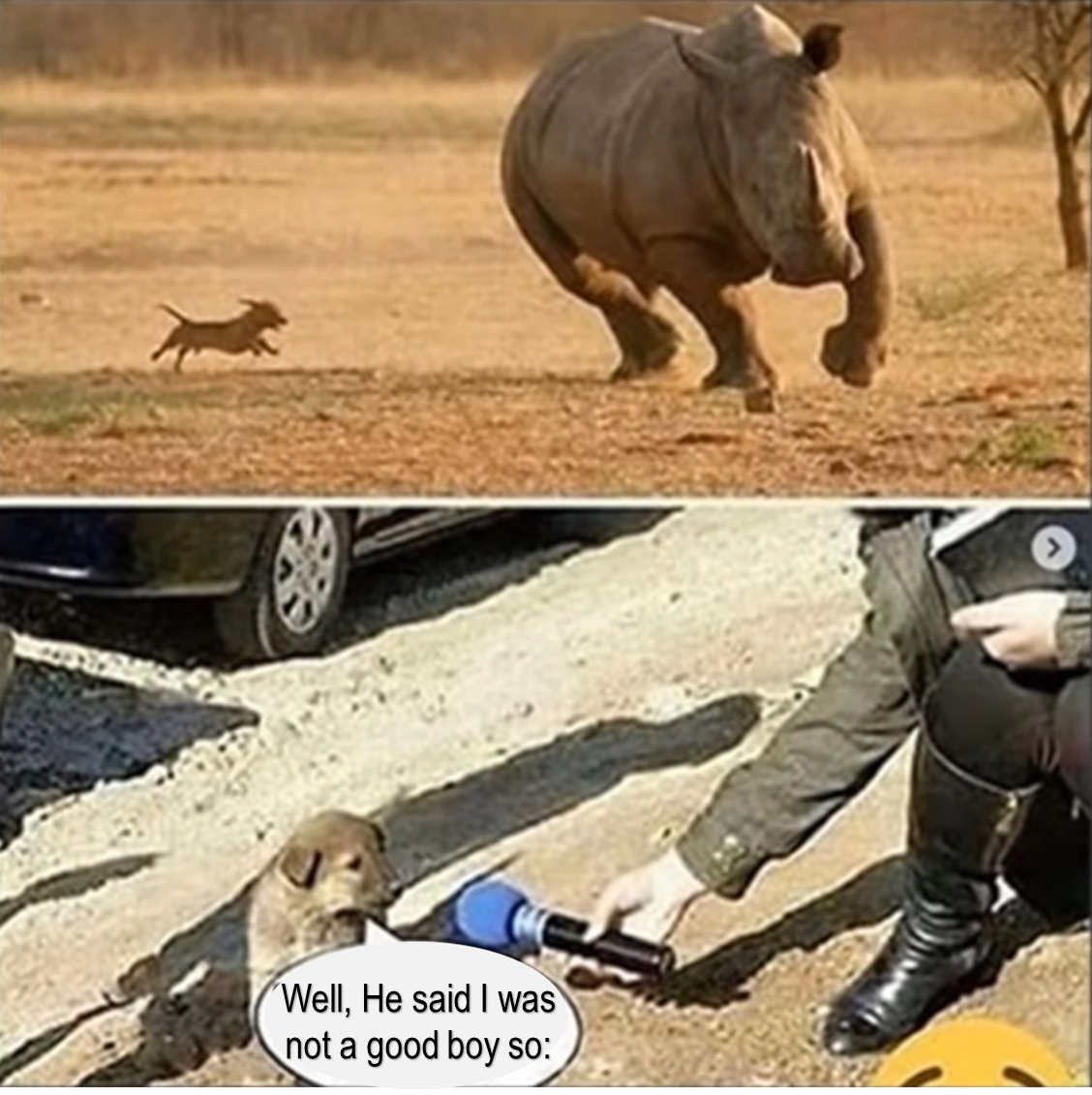 He is a good boy!