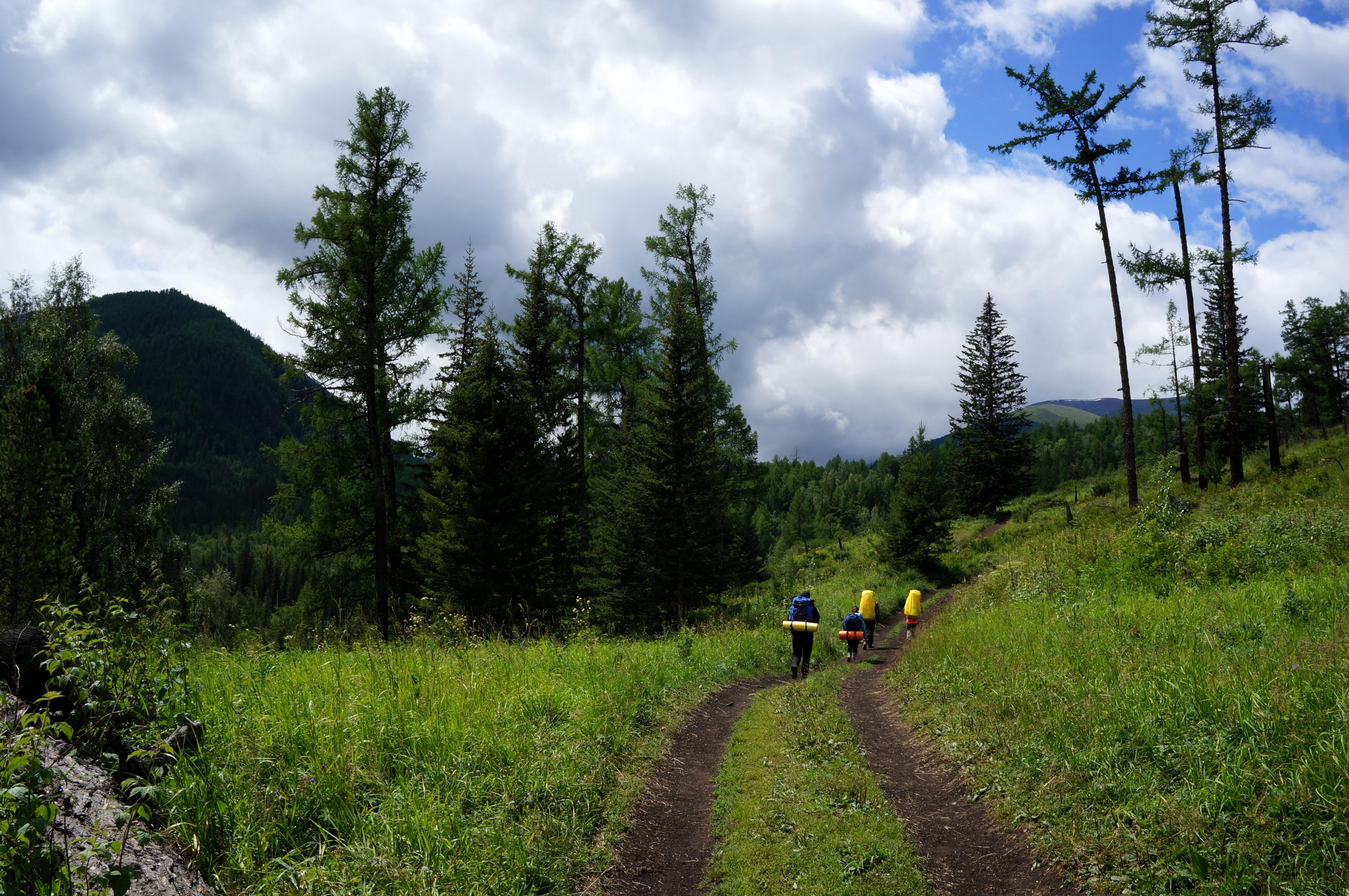 Hiking... [OC][4912x3264] | Scrolller