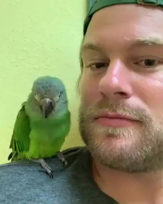 His reaction when he realizes the bird loves him back