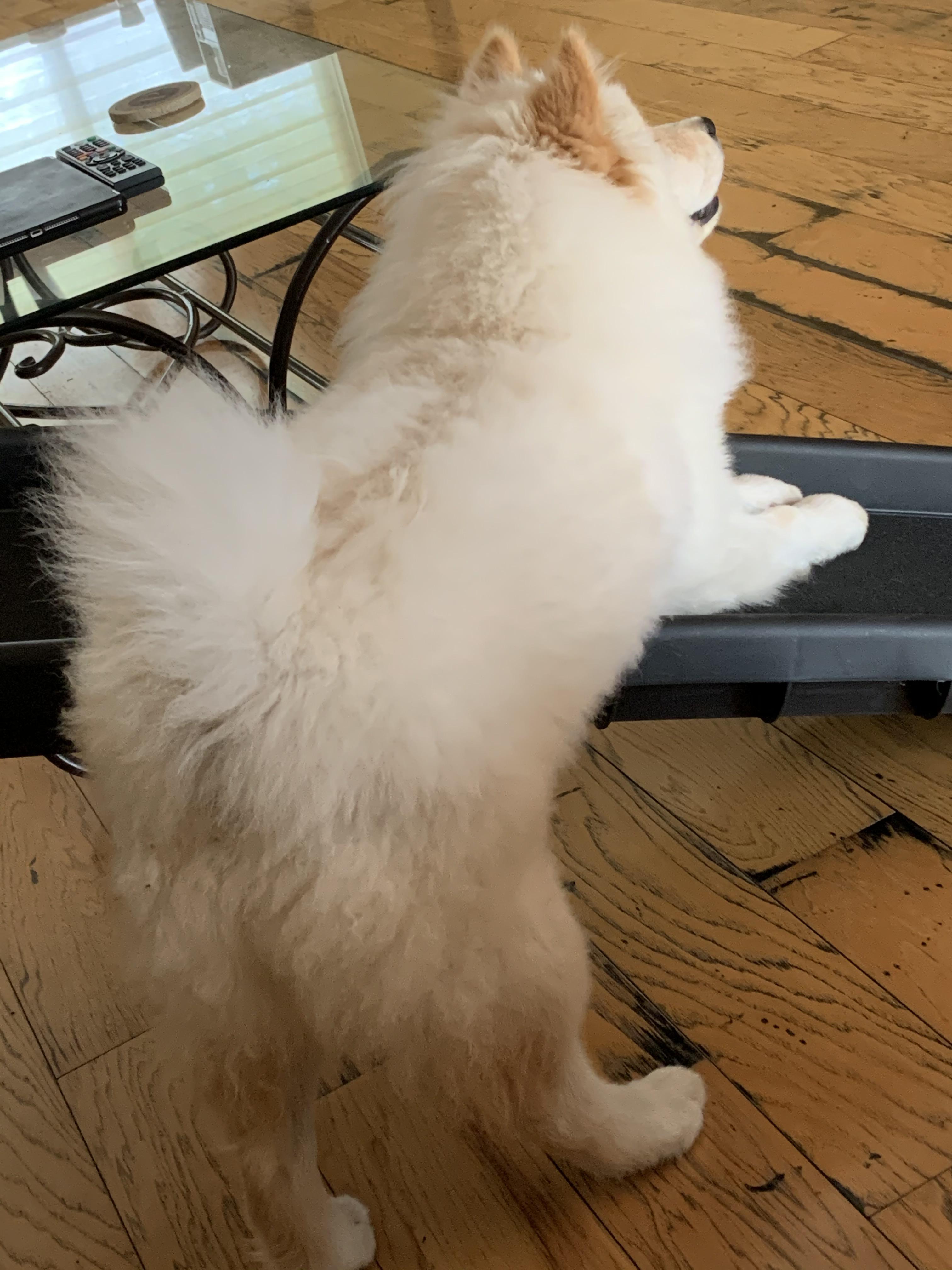 How does this ramp work again? | Scrolller