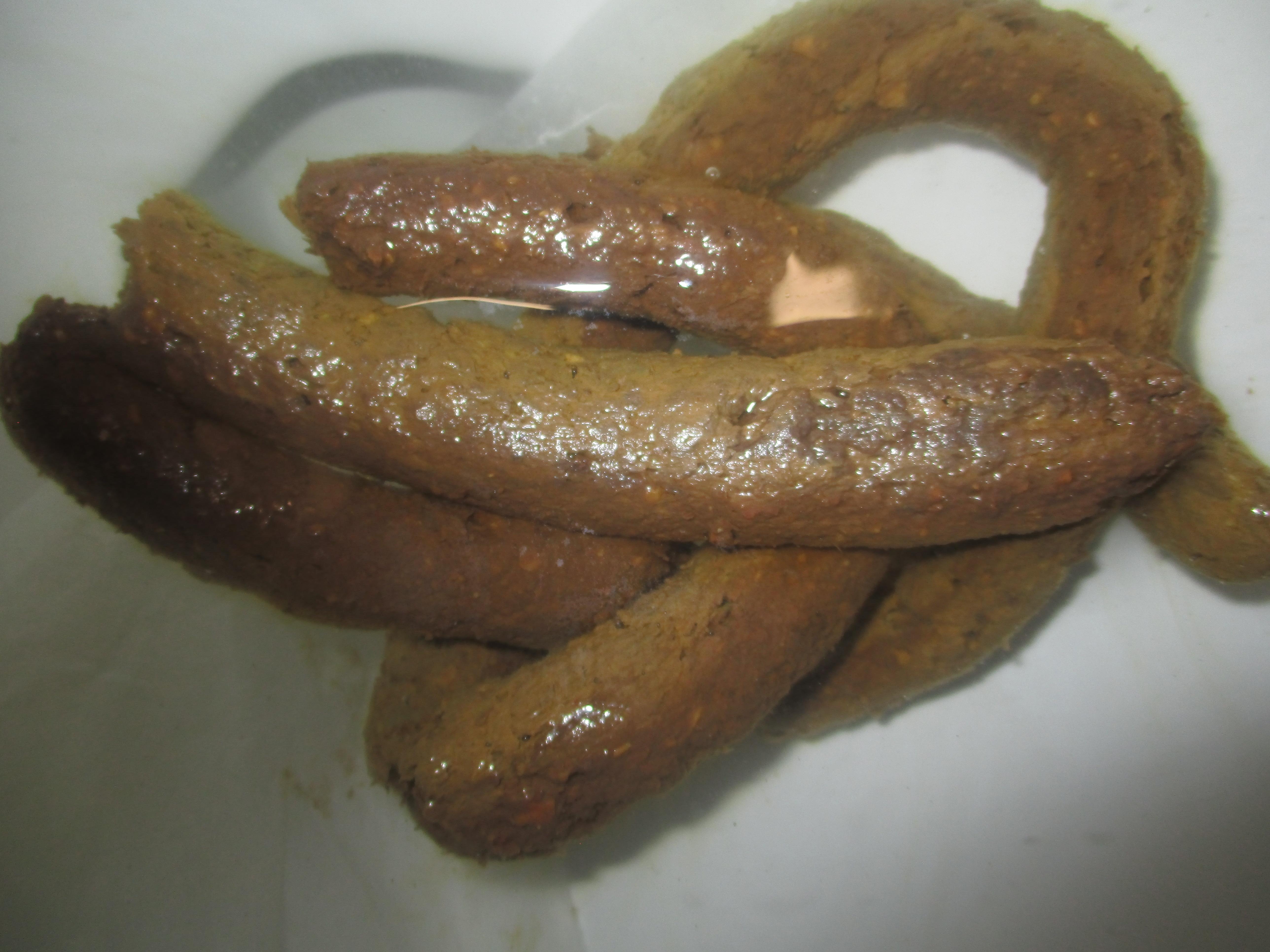 I am the king of poop. Titan of the toilet, lord of the loo! Here is