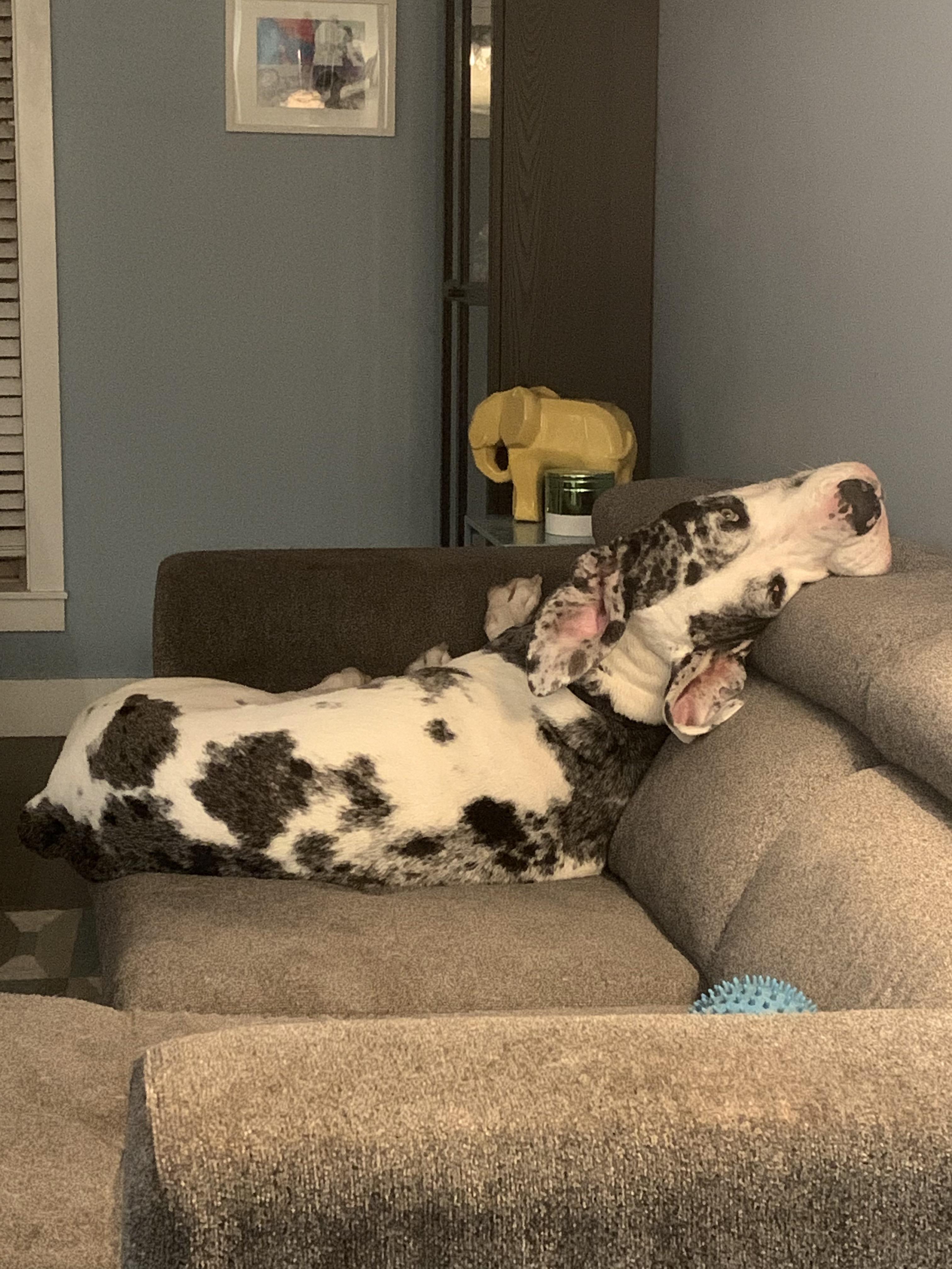 I Don T Even Know Scrolller