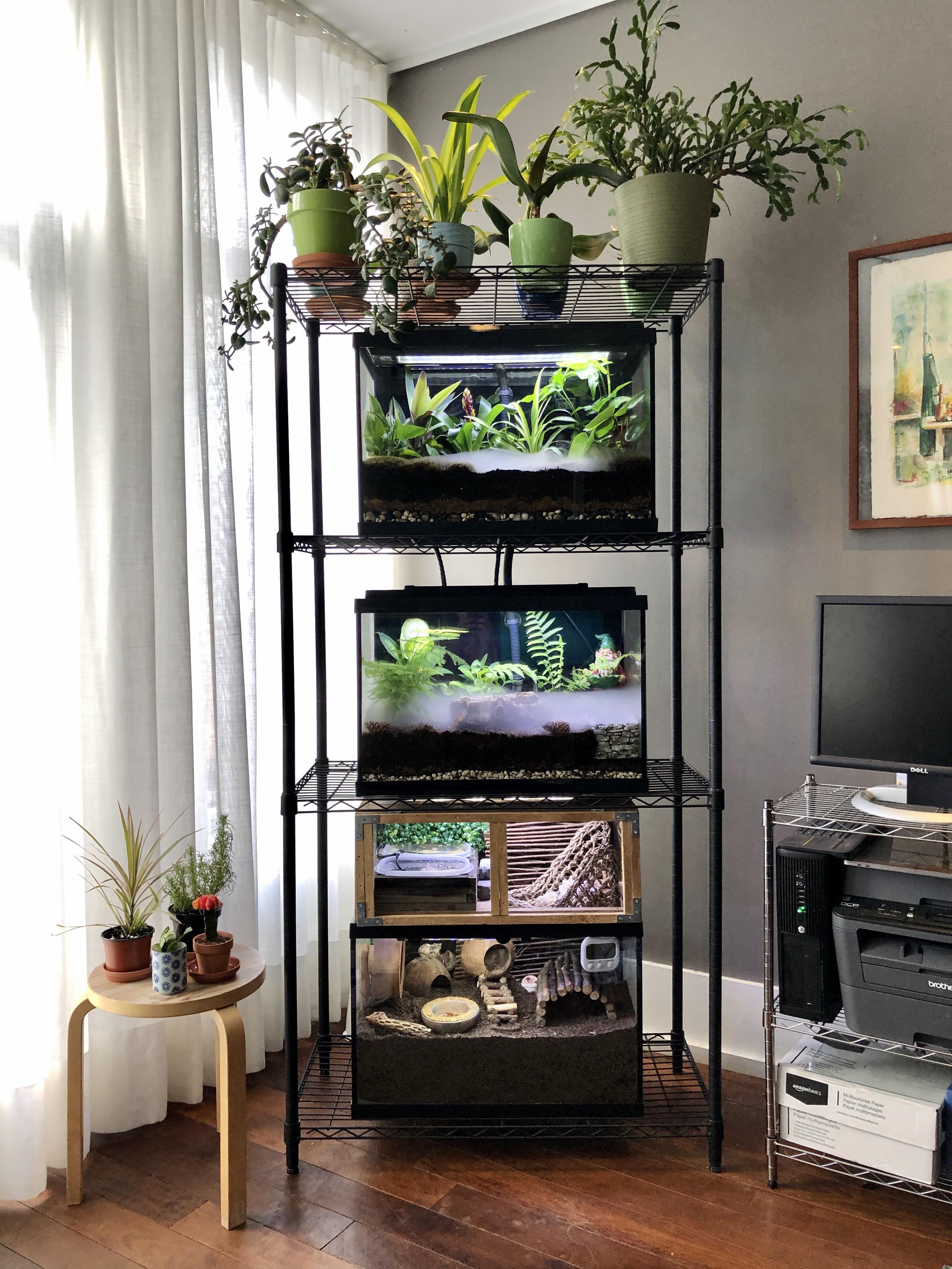 Viver Racks I finished my vivarium rack! | Scrolller