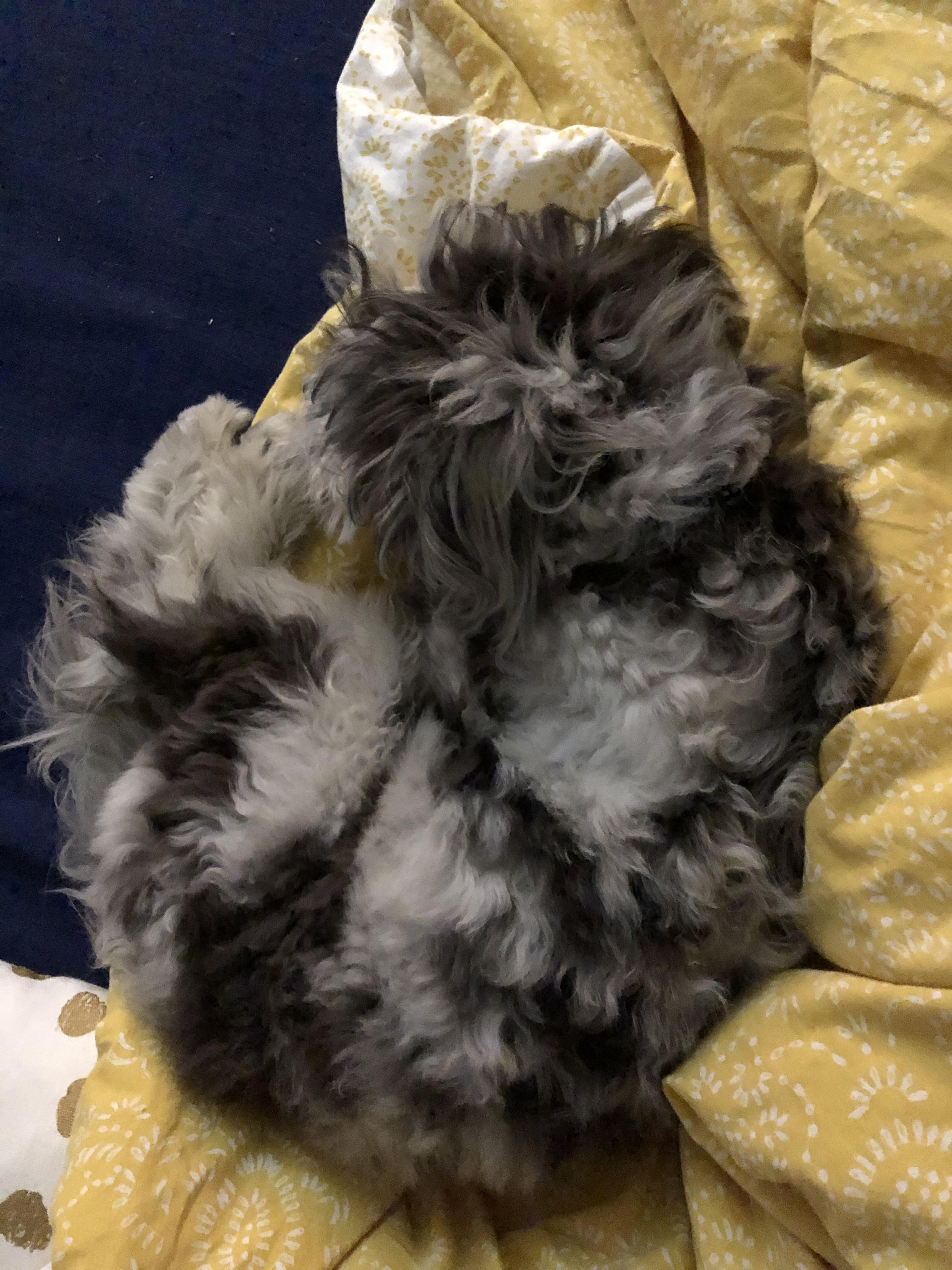 i-have-a-nerve-condition-that-flares-up-regularly-my-dood-never-leaves