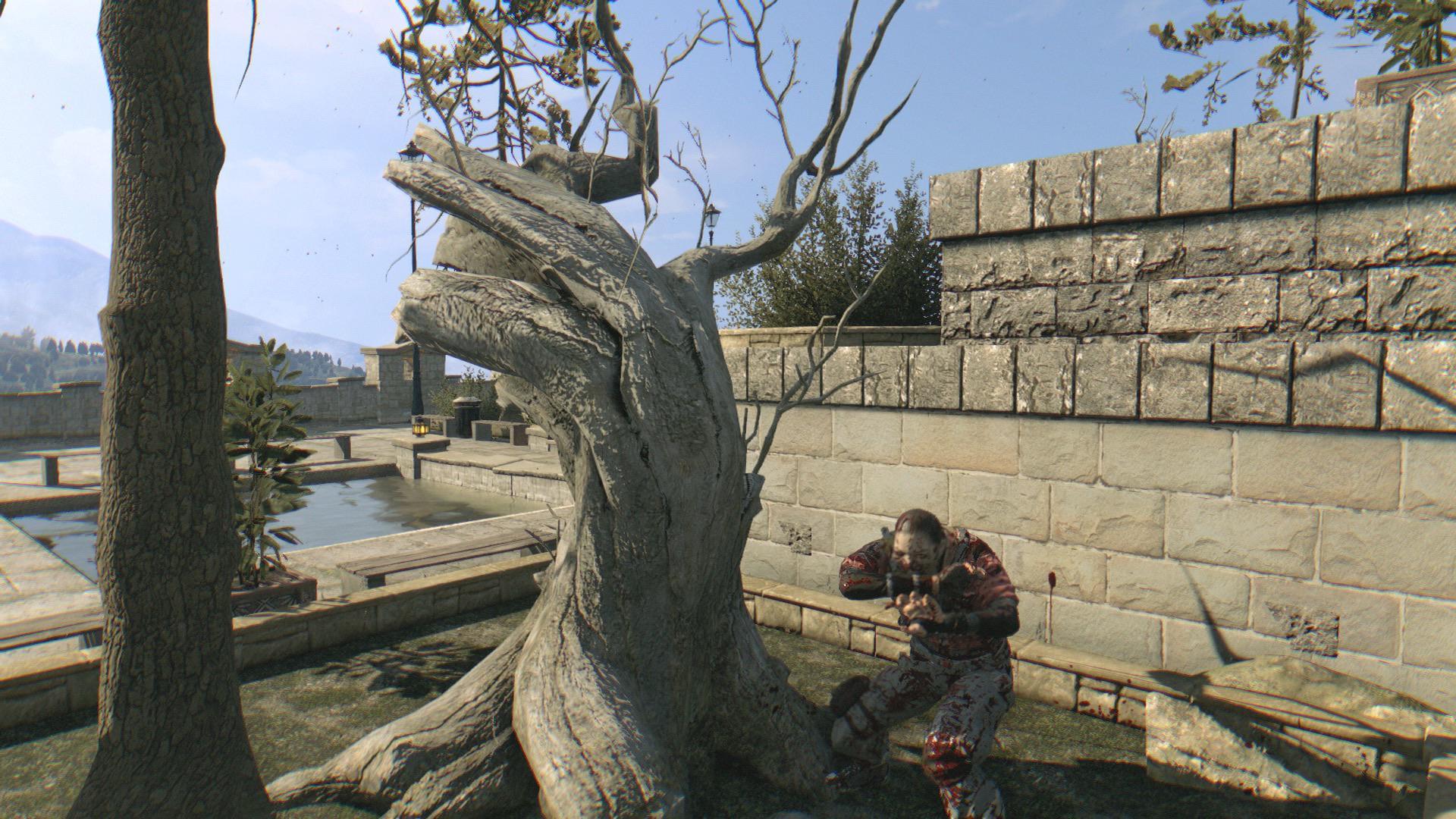 I scared both the Viral AND the tree! Scrolller