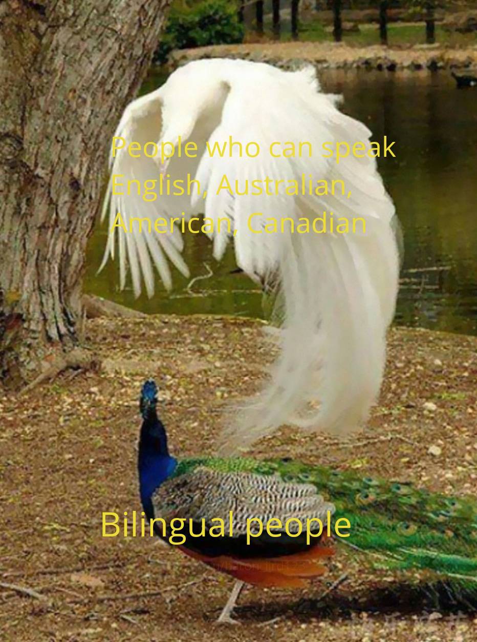 I see no god up here...