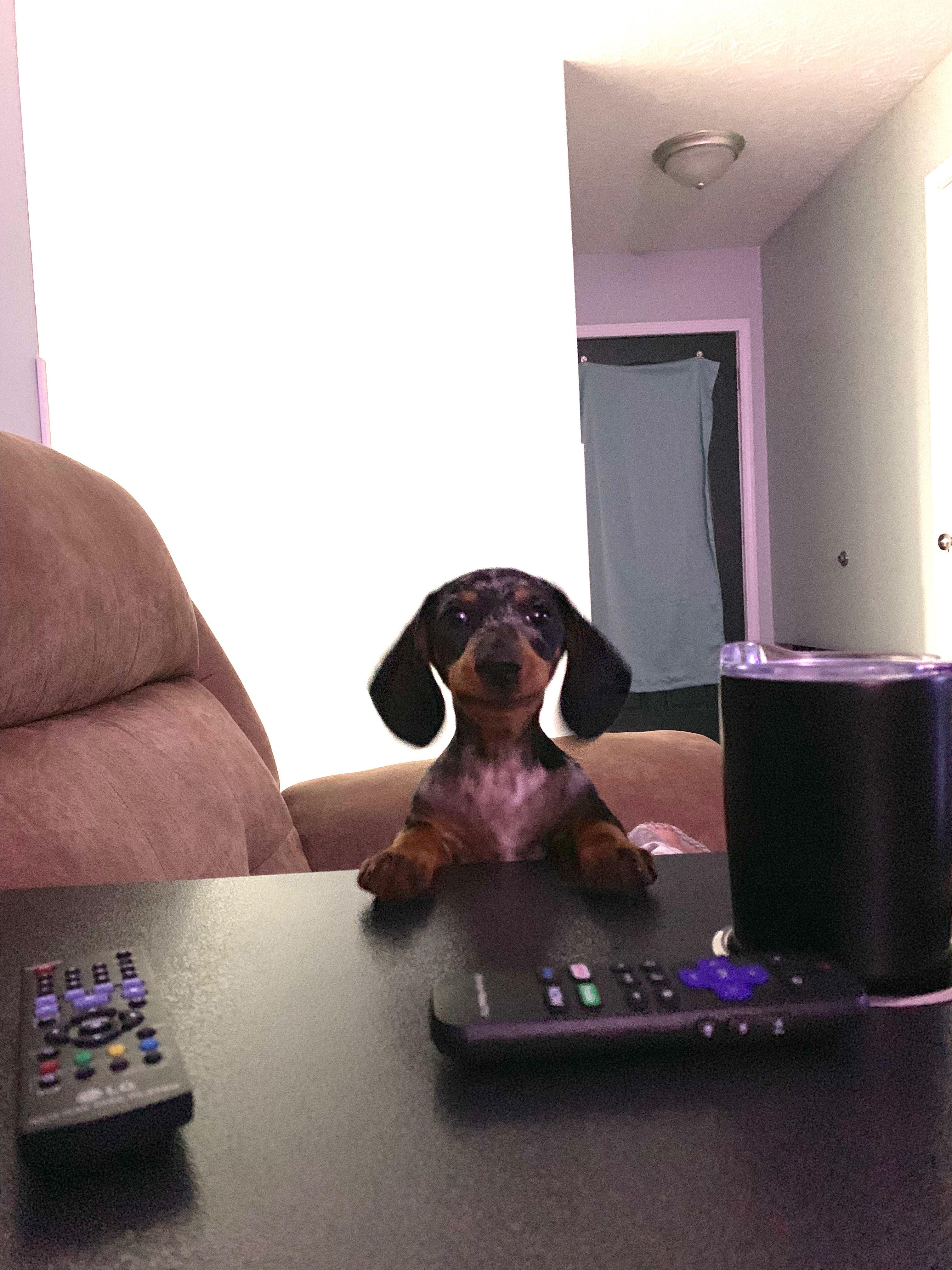 I tried to open a bag of chips quietly Scrolller