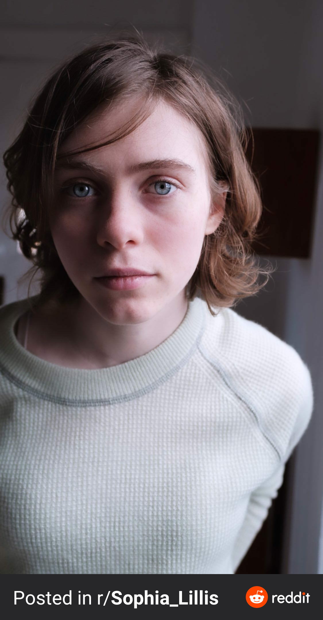 I Wanna Cum All Over Sophia Lillis S Face Scrolller