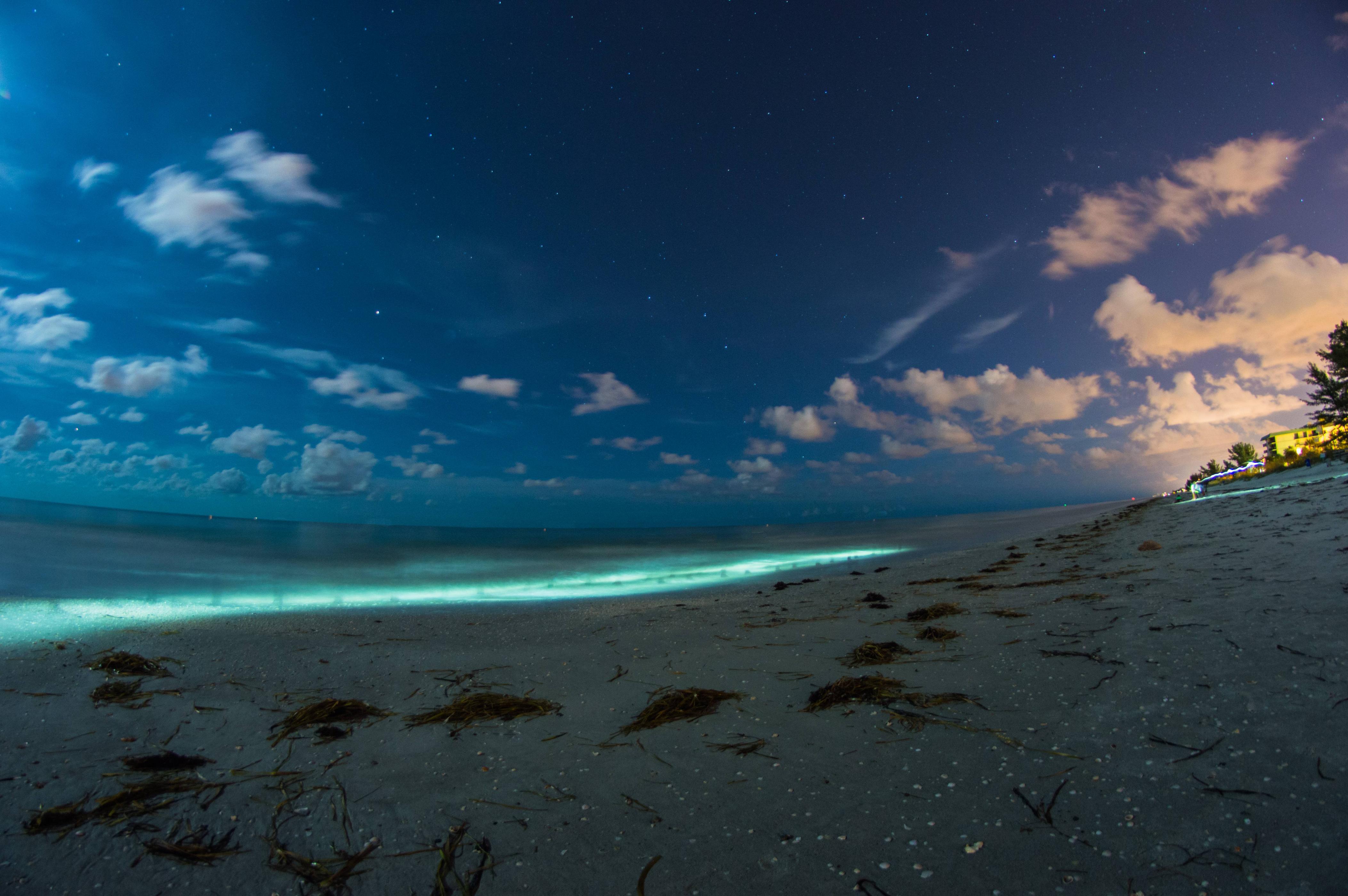 indian-rocks-beach-florida-oc-6016x4000-scrolller