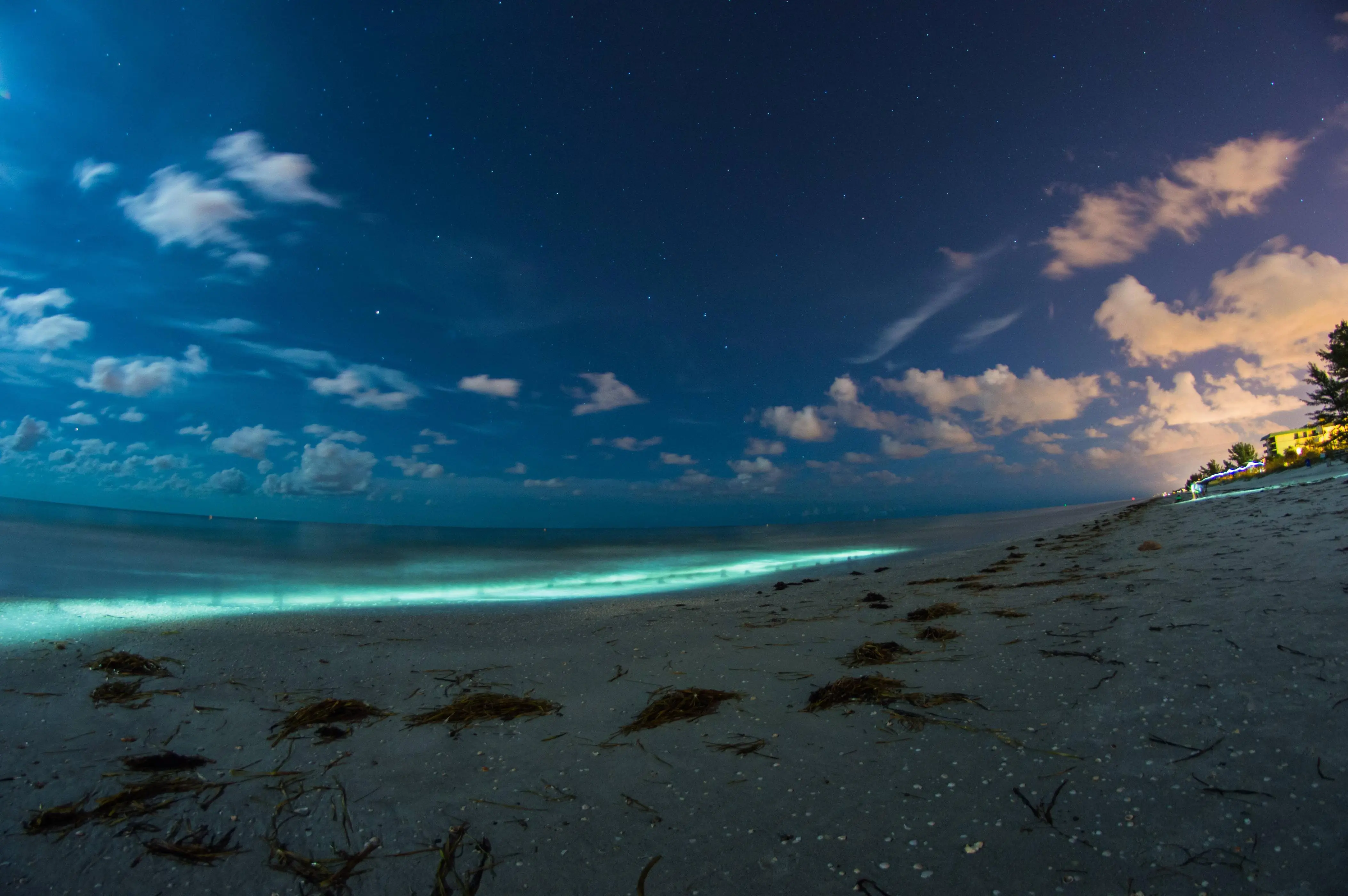 Indian Rocks Beach, Florida [OC] [6016x4000] | Scrolller