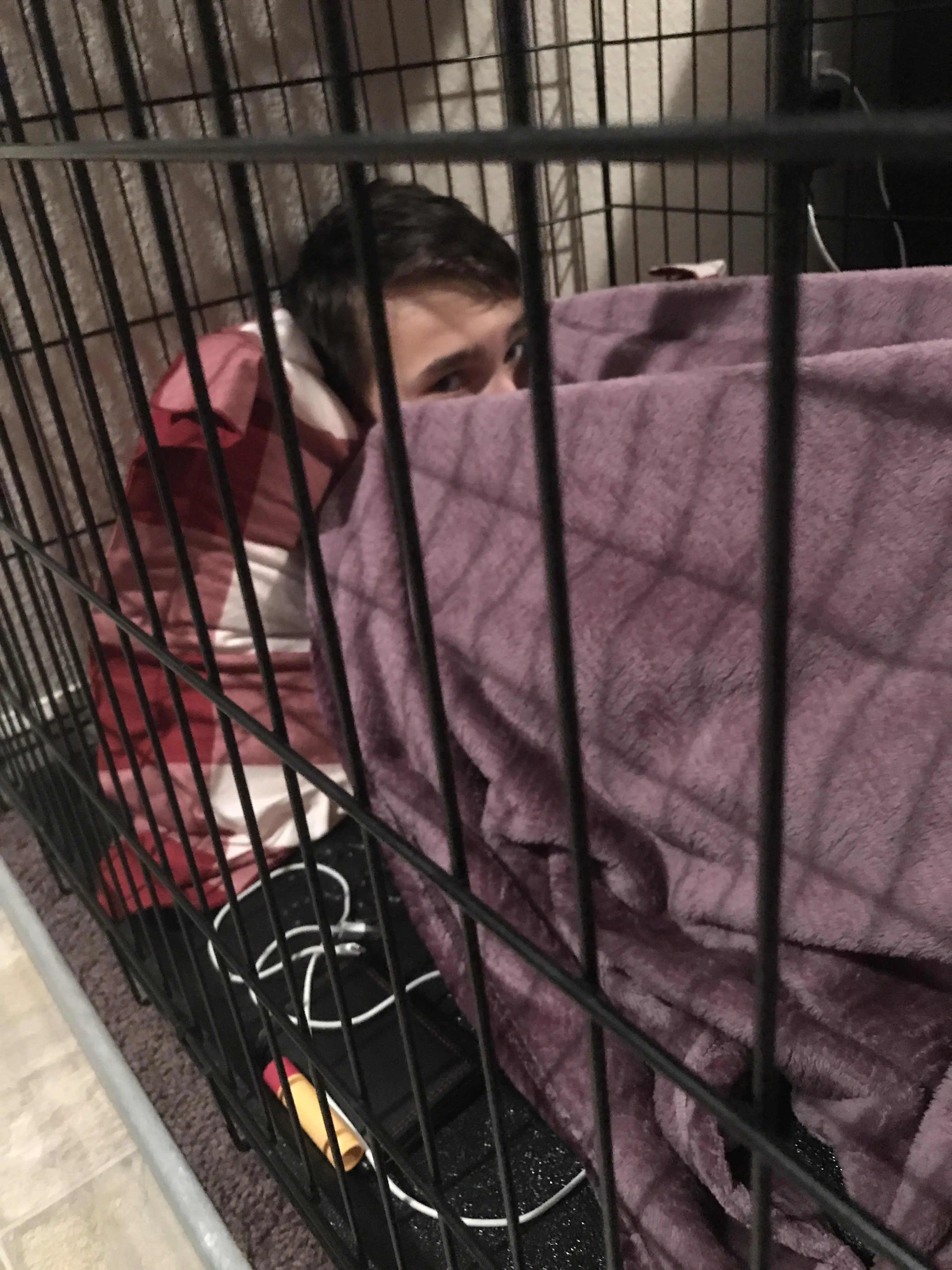 Instructions unclear stuck in cage send help
