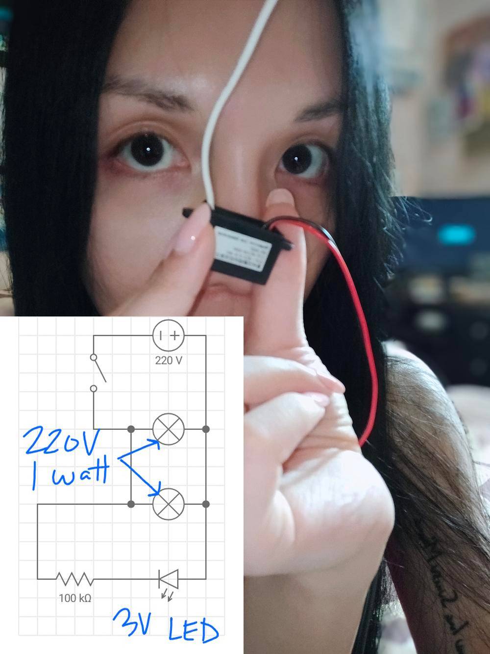 Ionizer with led power indicator on 220V source, will this work? Need help Scrolller
