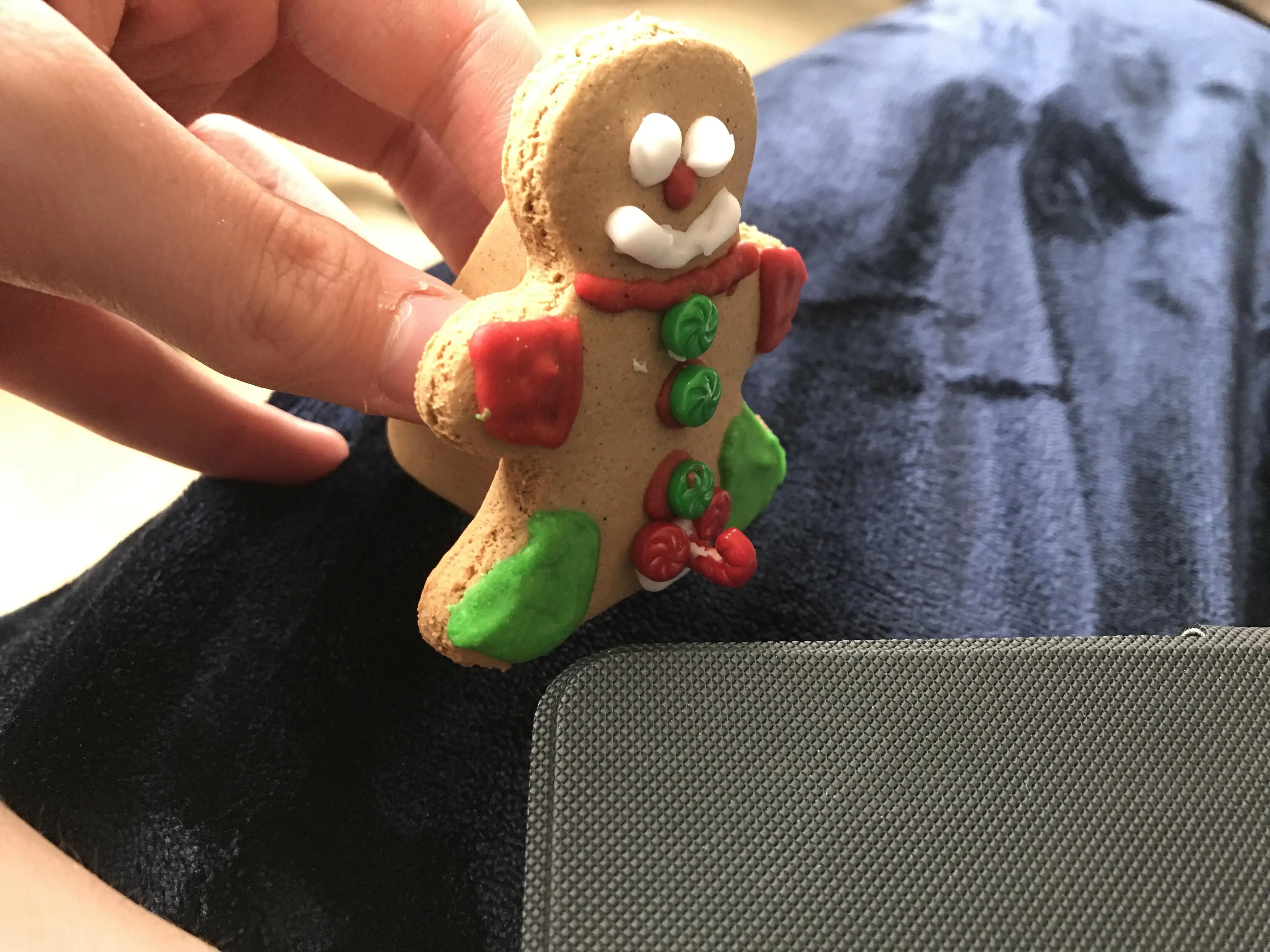 “It’s a gingerbread MAN Helen, not a gingerbread woman.” | Scrolller