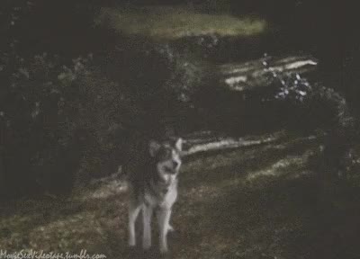 Jamie Gray Hyder - True Blood? | Scrolller