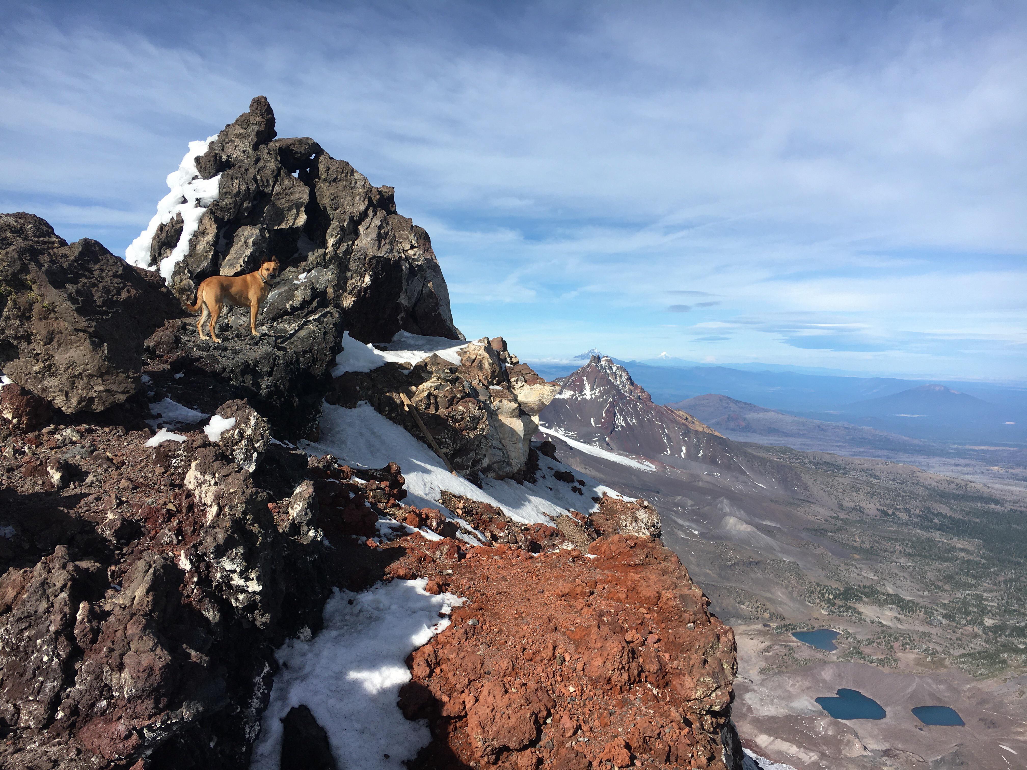 Junebug near the summit of South Sister (Oregon) | Scrolller