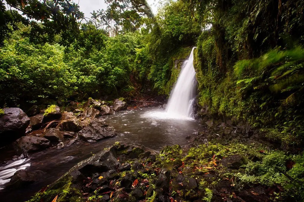 Jungle waterfall in Pohnpei [1024x768][oc]