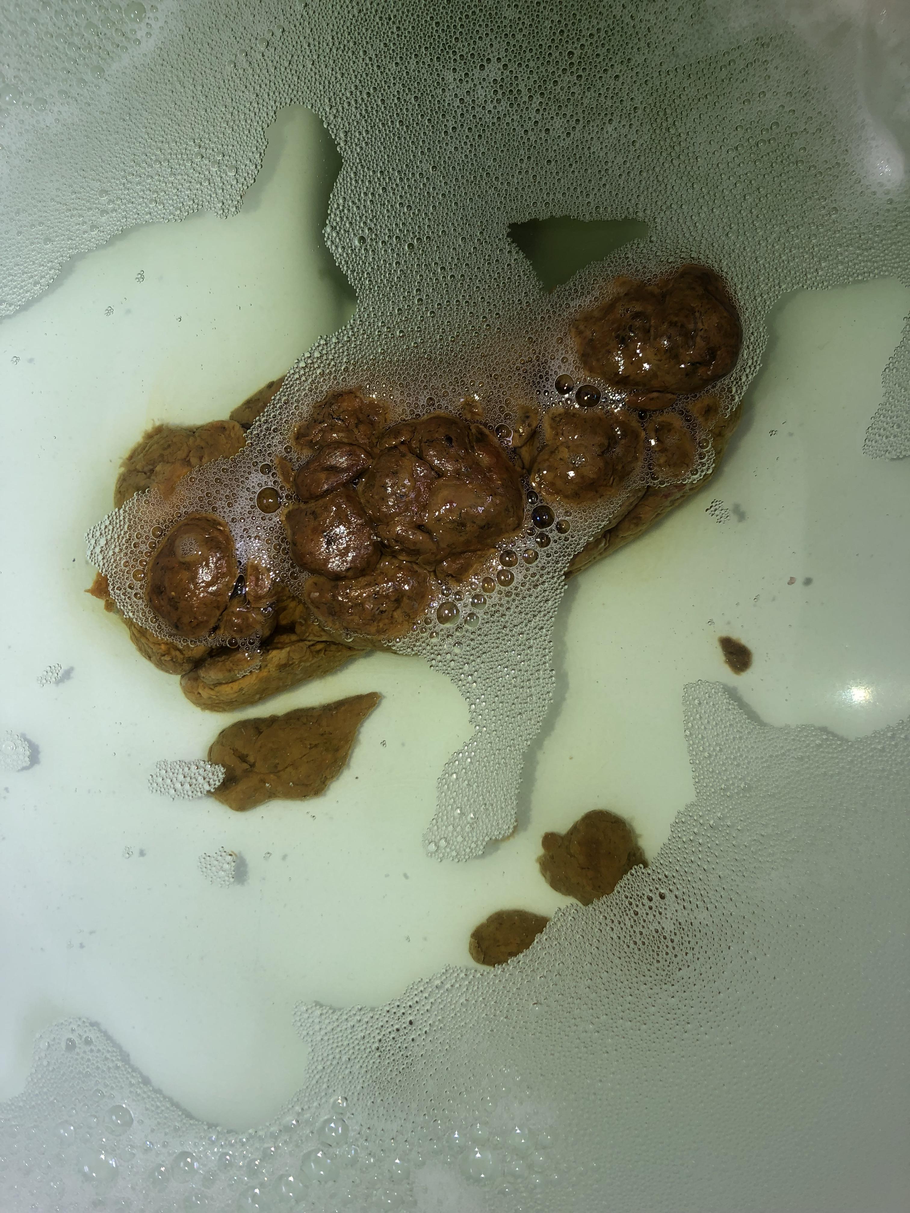 Just a preworkout poop taking a bubble bath in a freshly cleaned